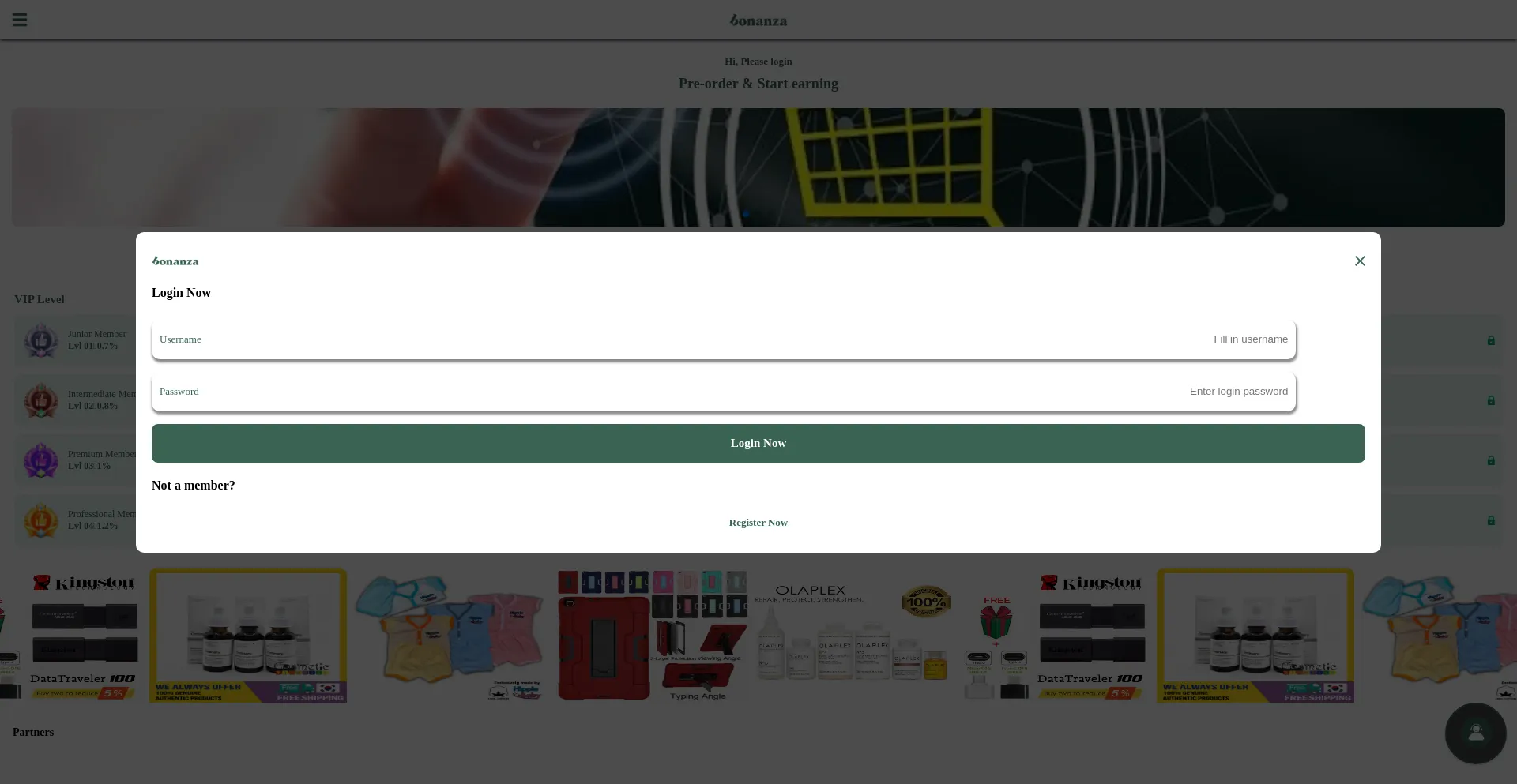 Website screenshot of Bonnadbnn.com