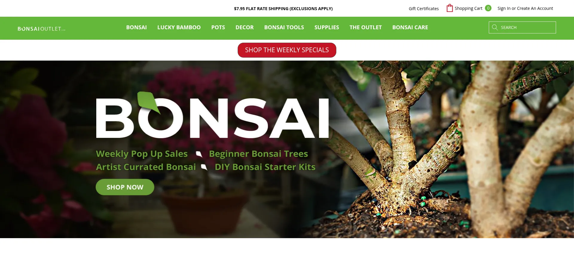 Bonsaioutlet.com