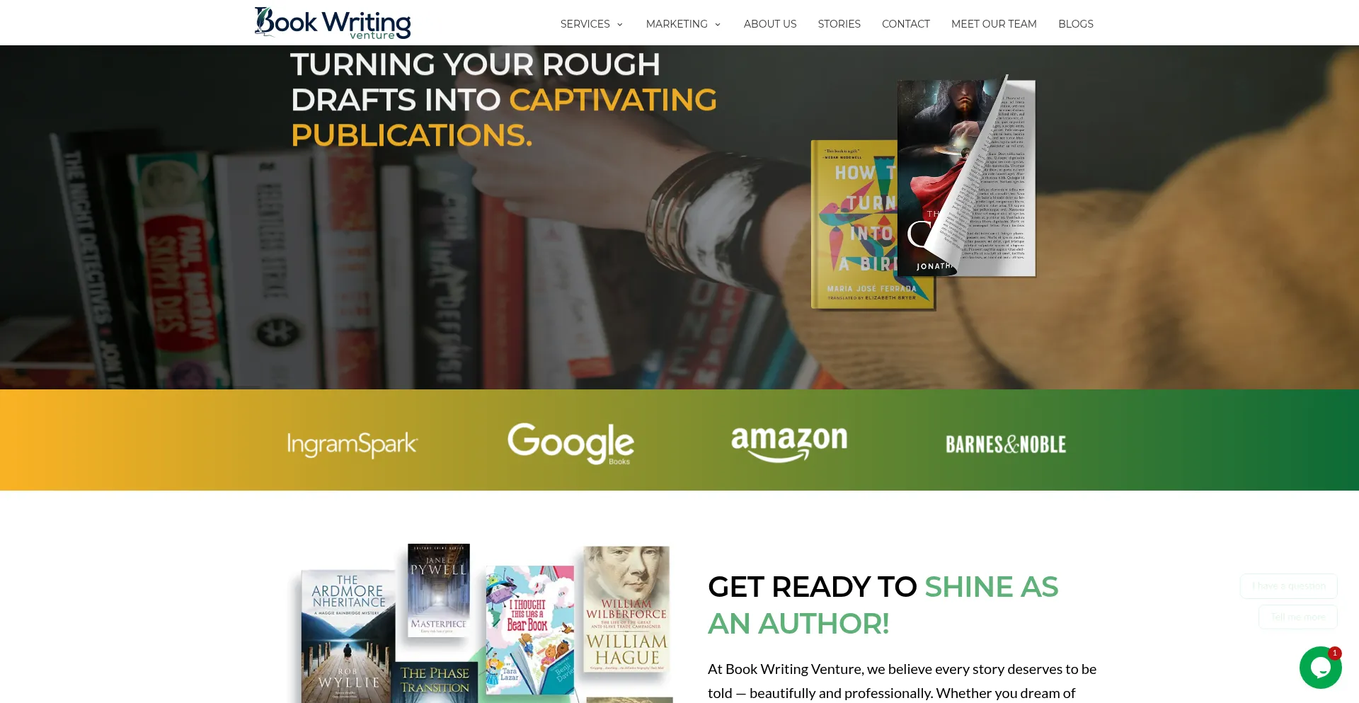 Bookwritingventure.com