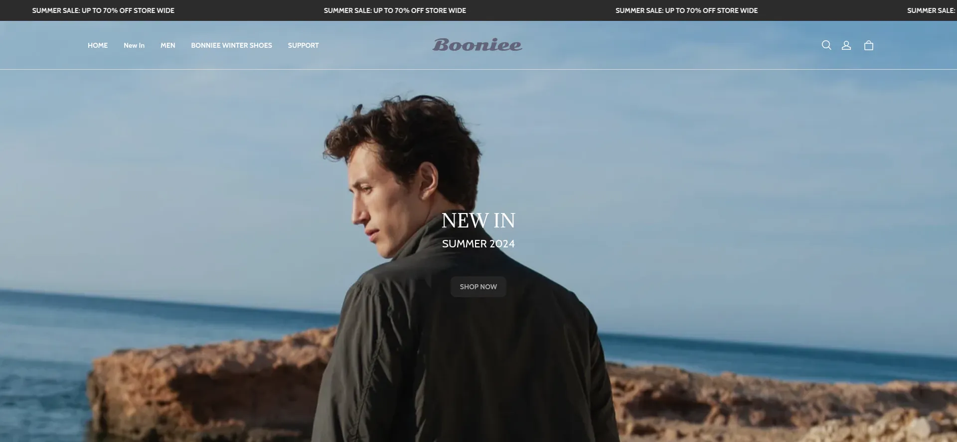 Website screenshot of Booniee.com