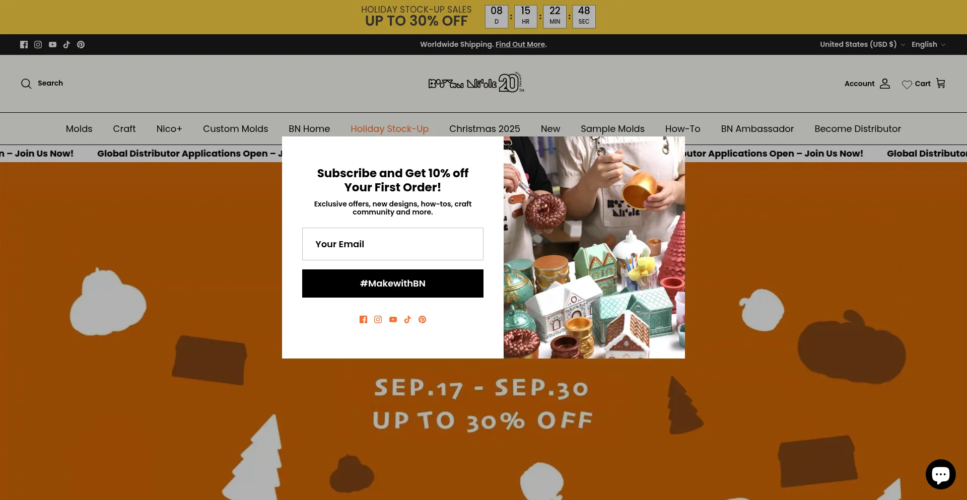 Boowannicole.com Screenshot