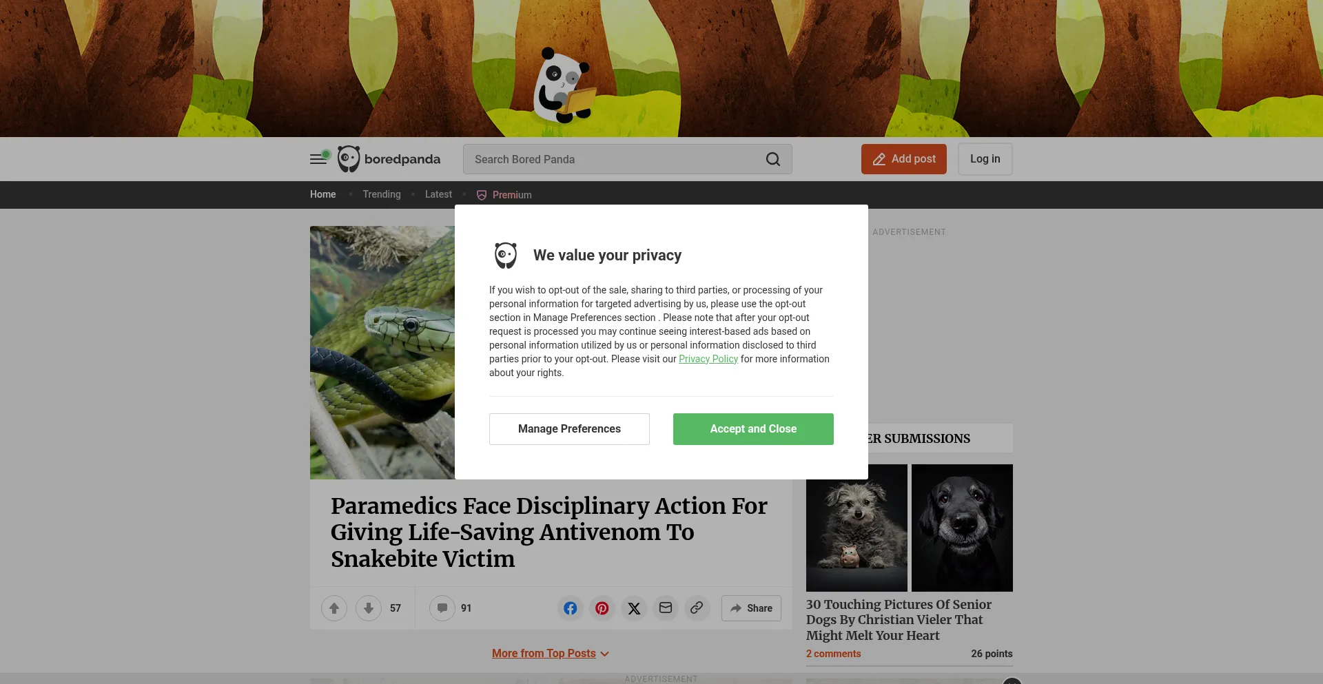 Boredpanda.com Screenshot