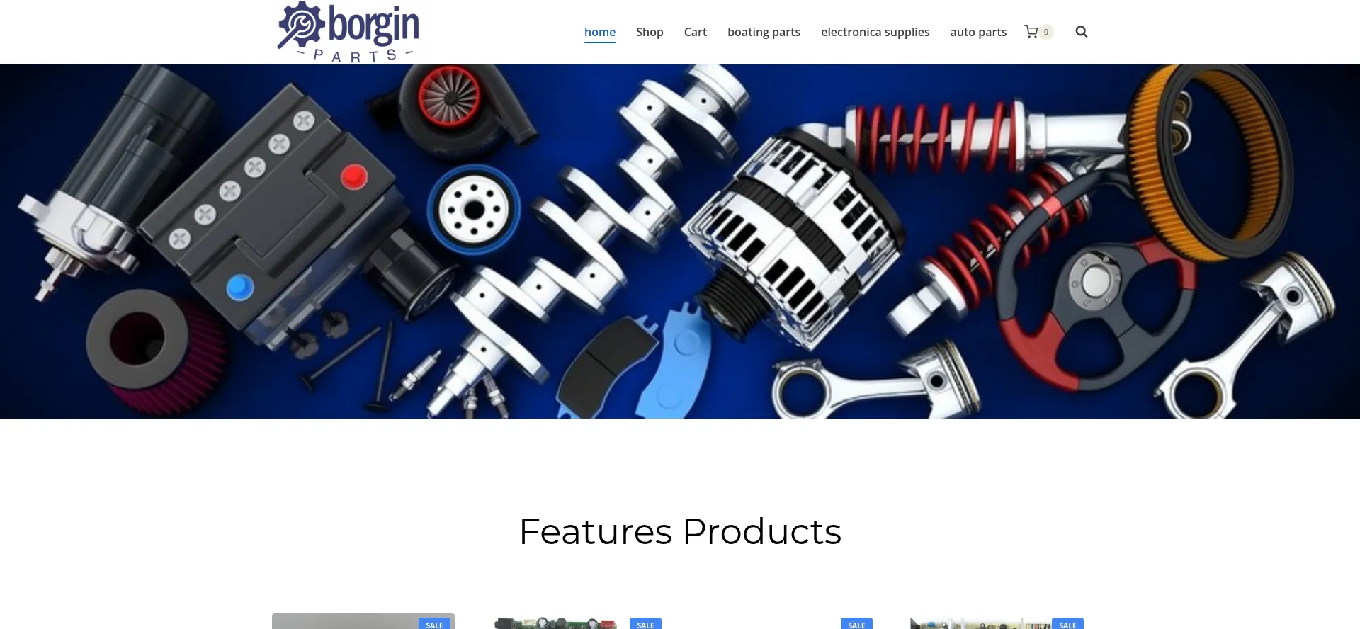 Borginparts.com