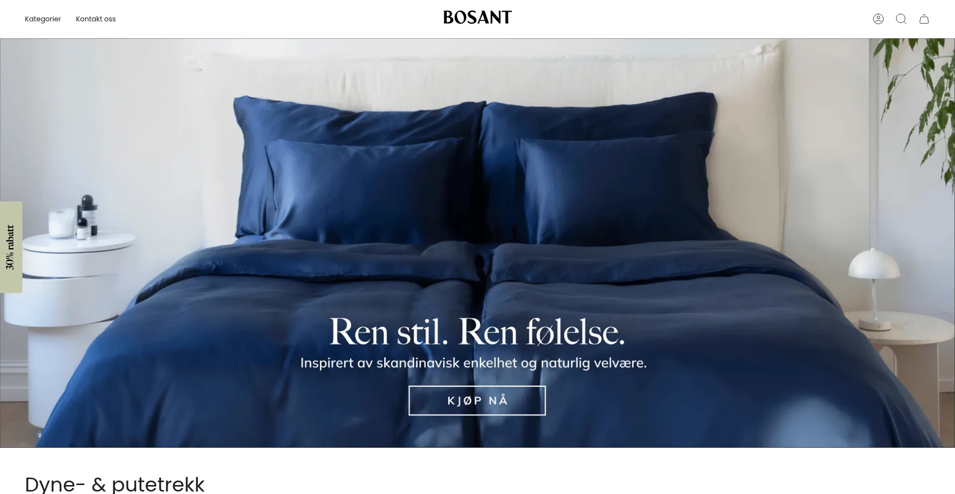 Website screenshot of Bosant.no