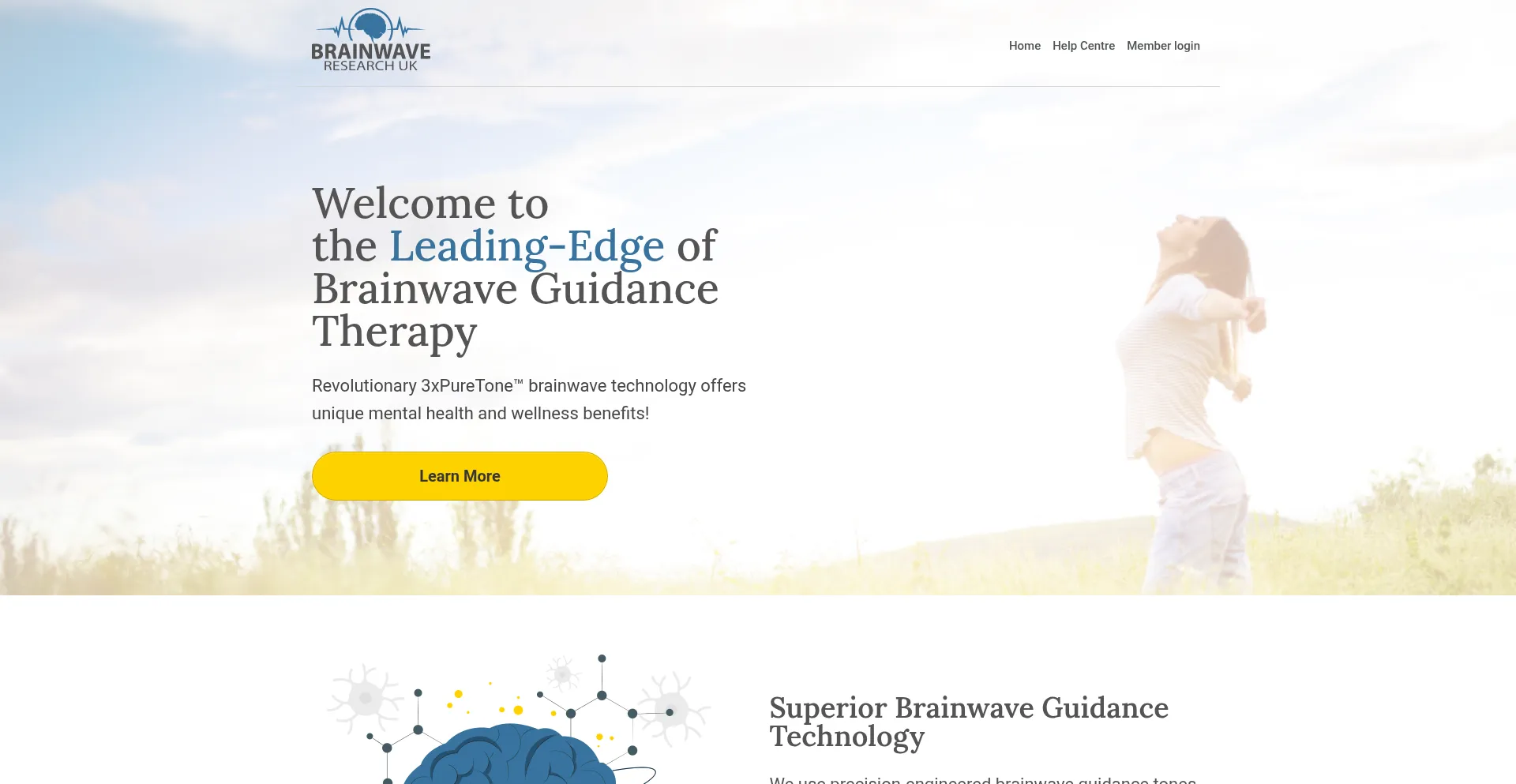 Website screenshot of Brainwave-research.com