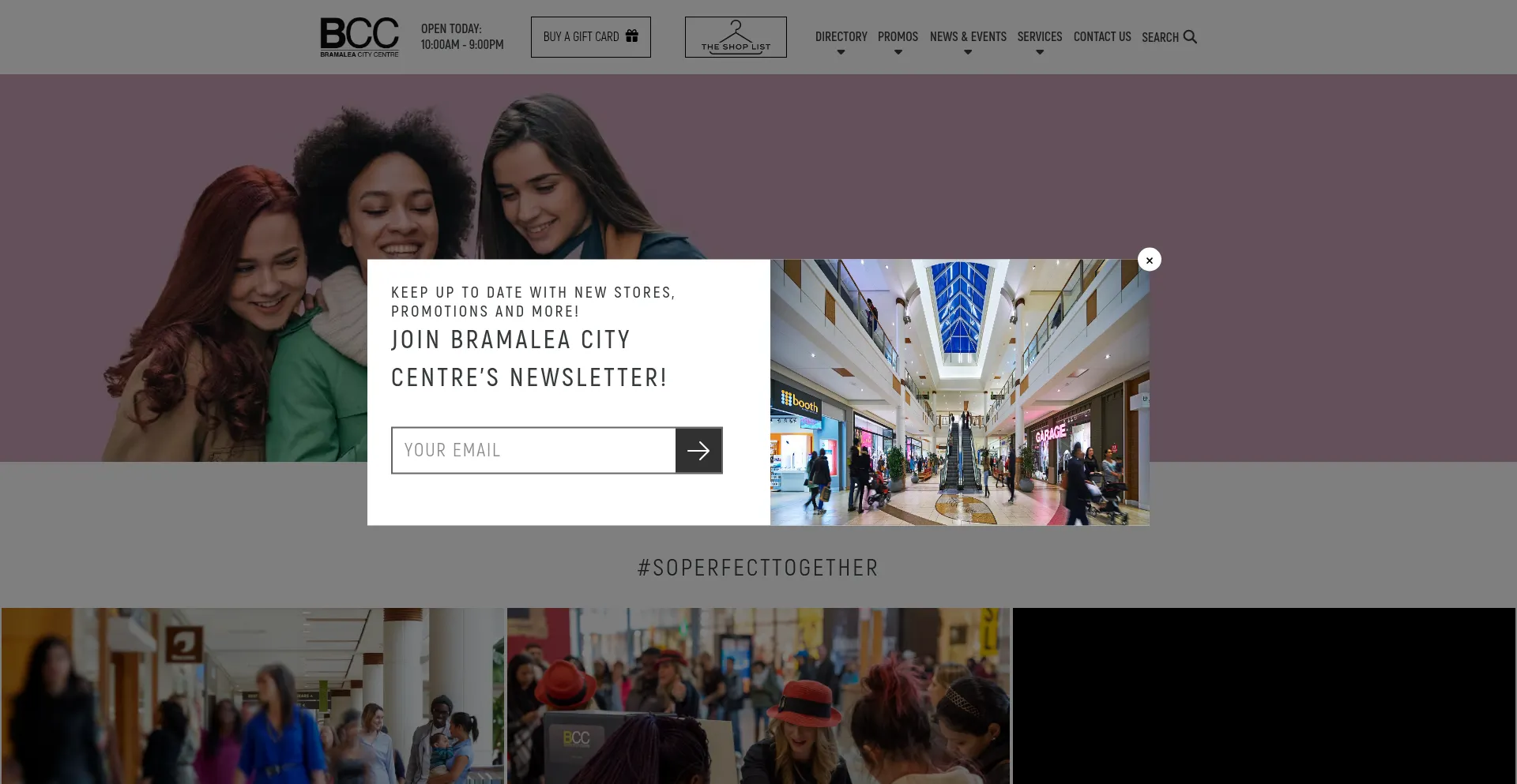 Website screenshot of Bramaleacitycentre.ca