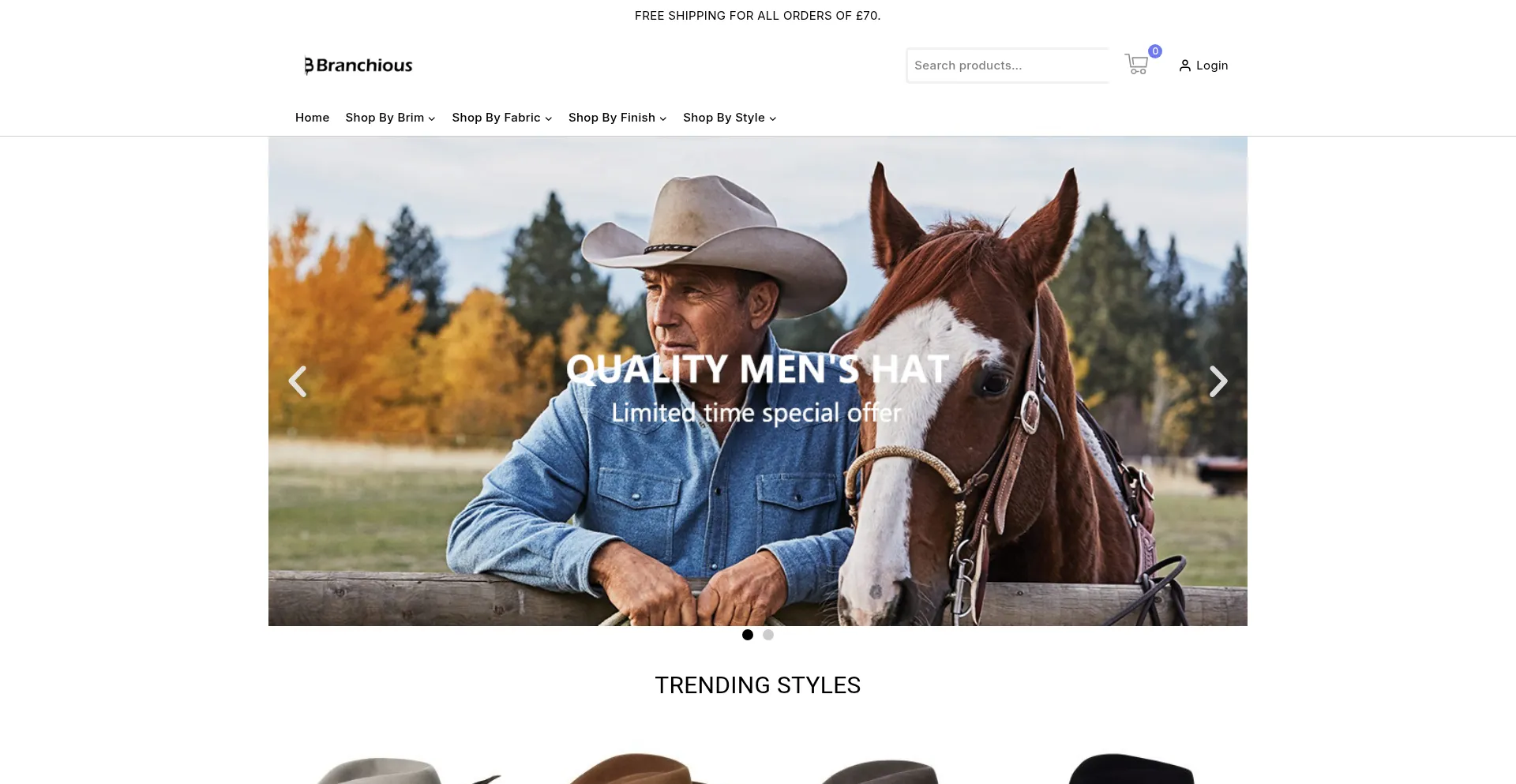 Website screenshot of Branchious.com