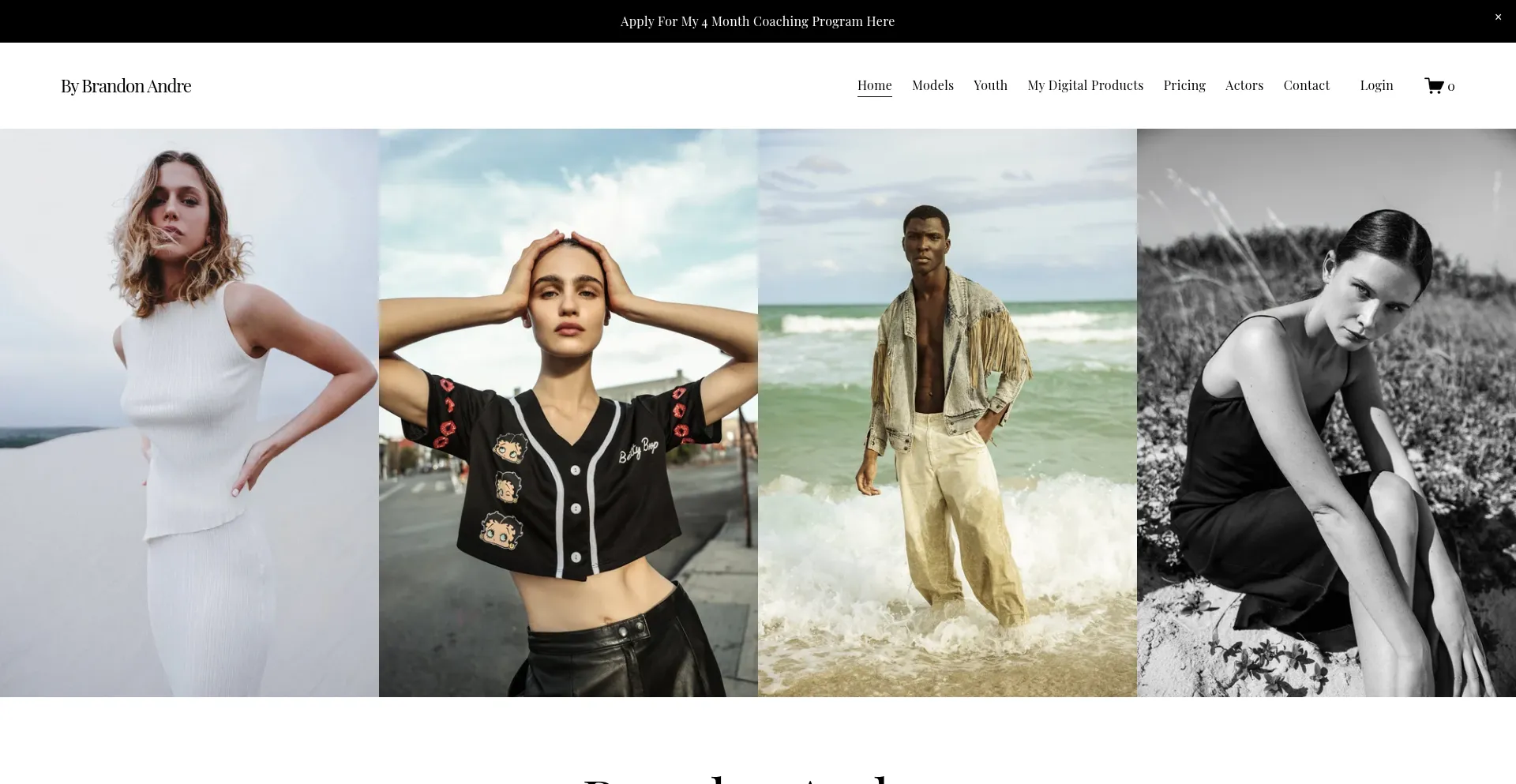 Website screenshot of Brandonandrephoto.com