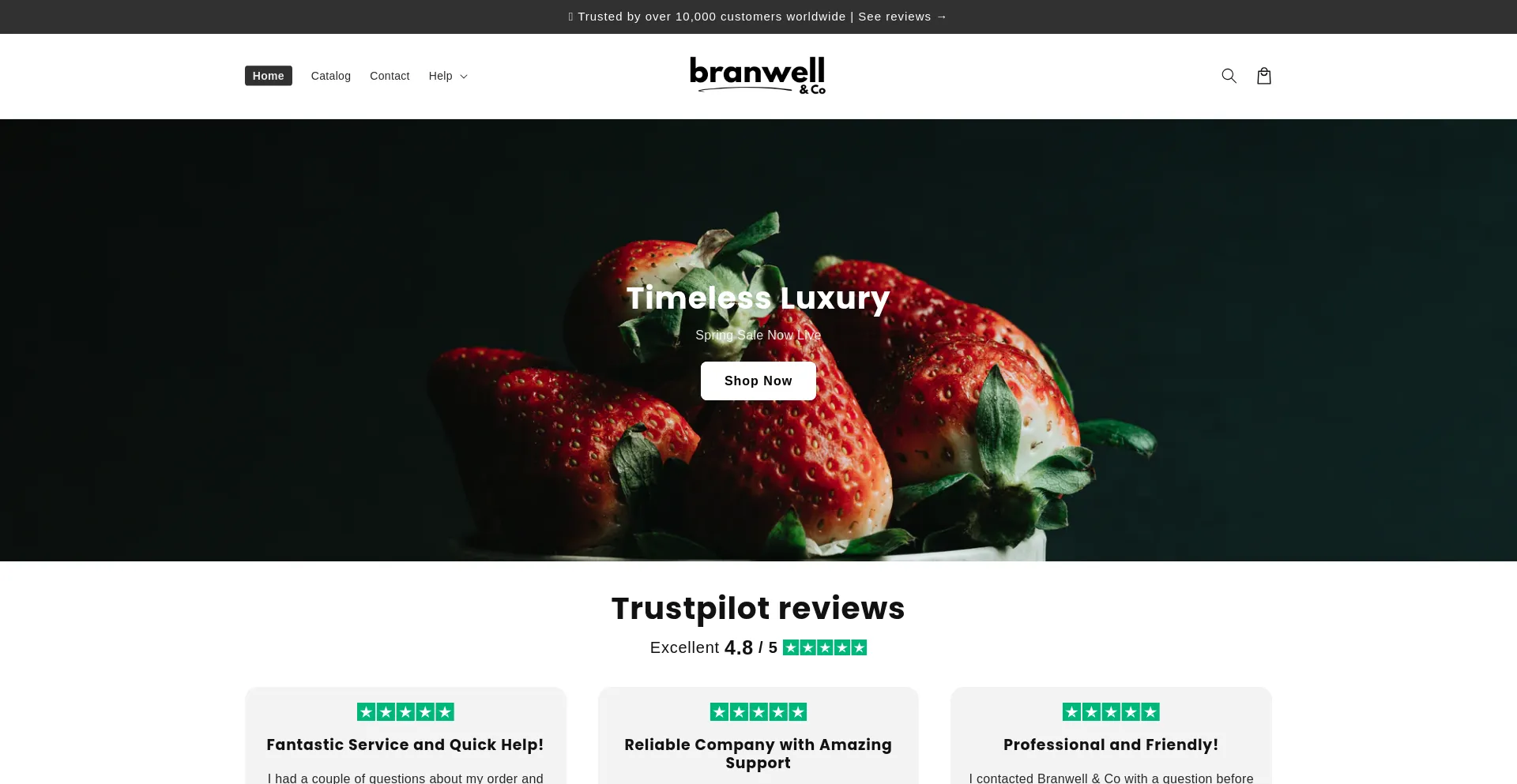 Website screenshot of Branwellco.com