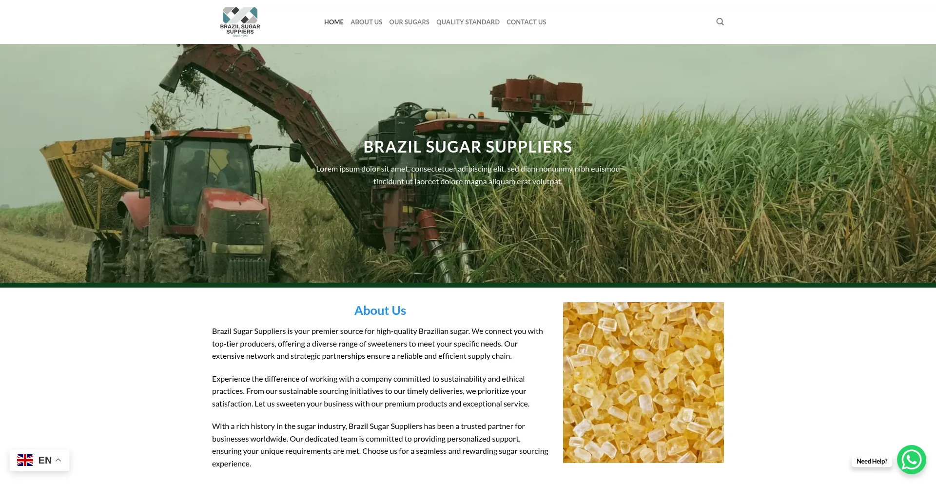 Website screenshot of Brazilsugarsuppliersllc.com