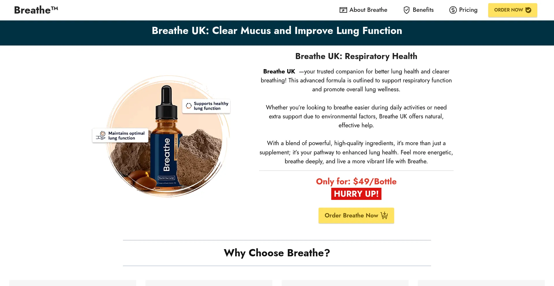 Website screenshot of Breathly.uk