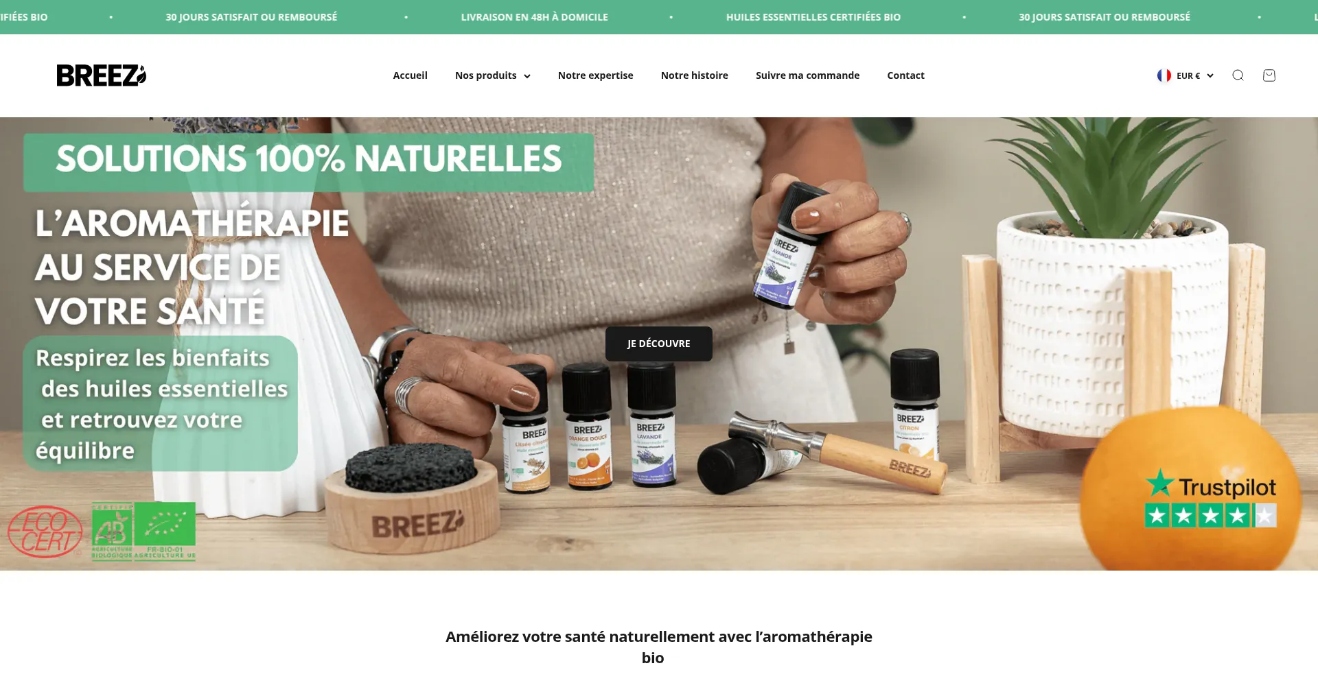 Website screenshot of Breezstick.com