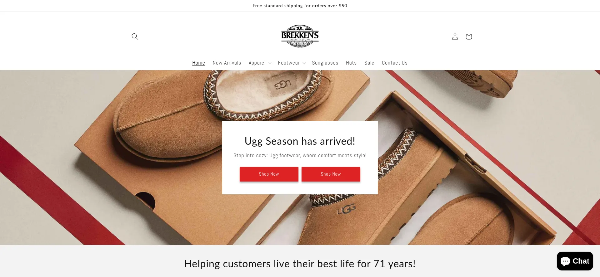 Website screenshot of Brekkens.com