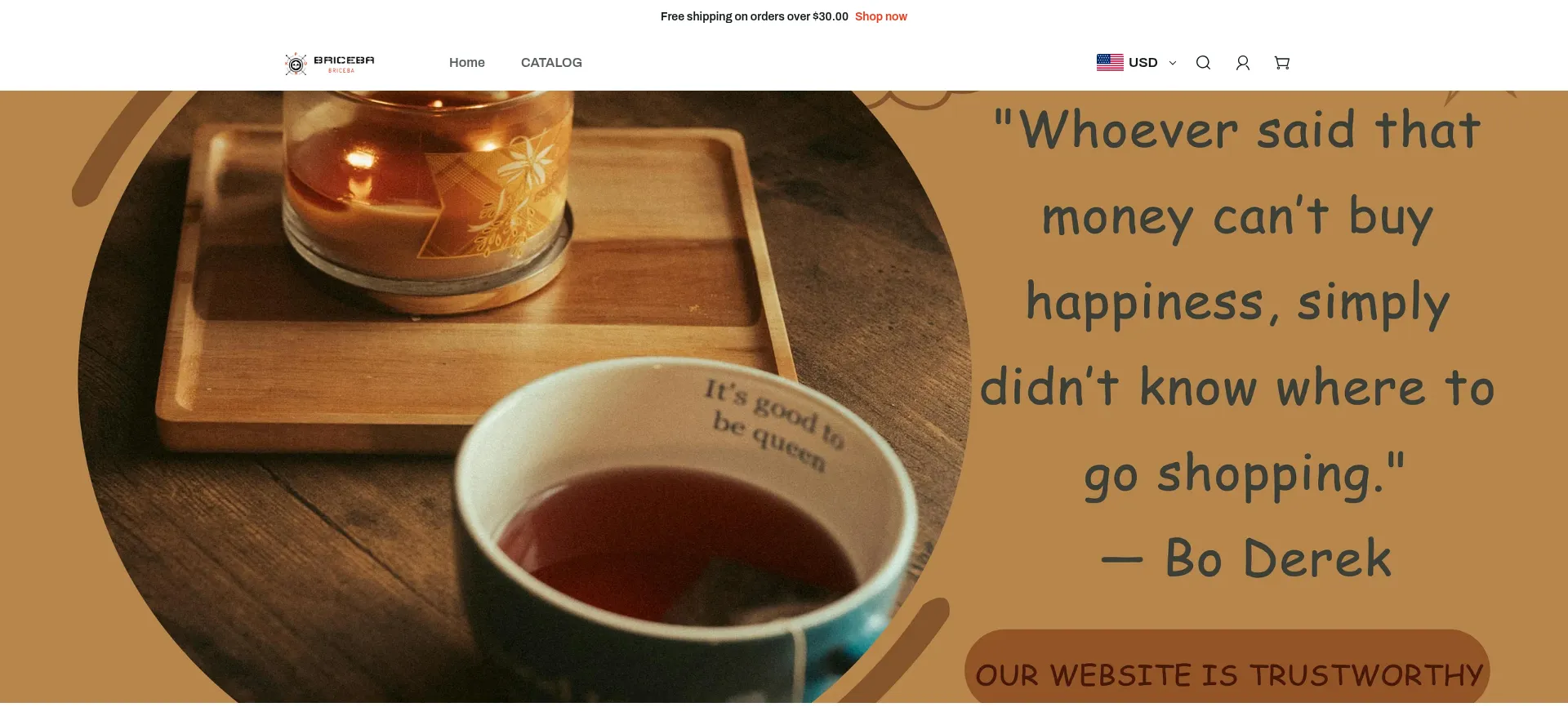 Website screenshot of Briceba.com
