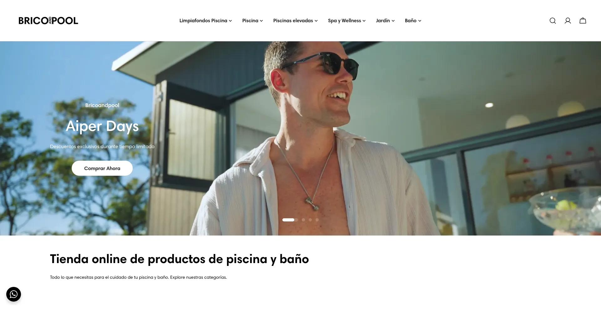 Website screenshot of Bricoandpool.com