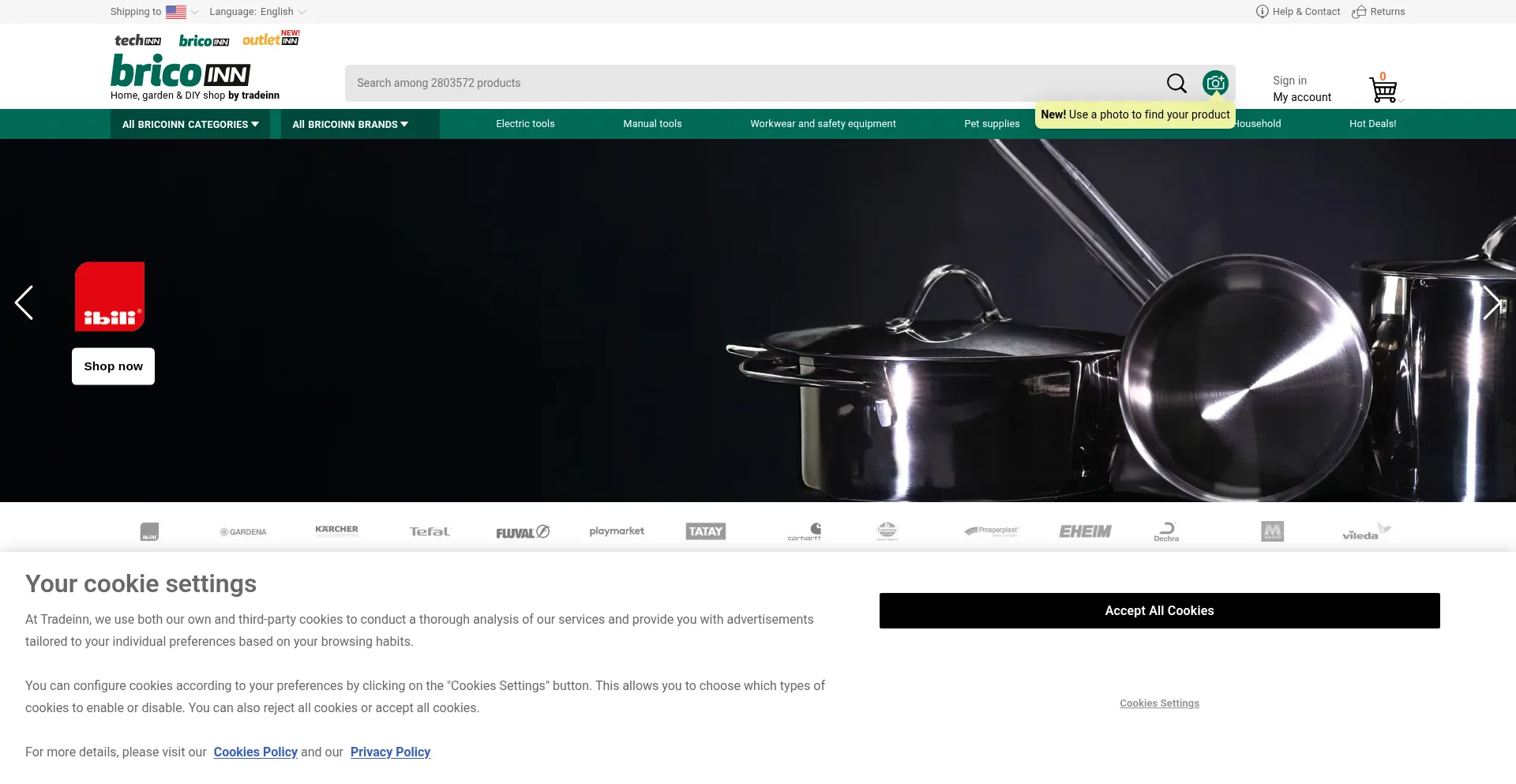 Website screenshot of Bricoinn.com