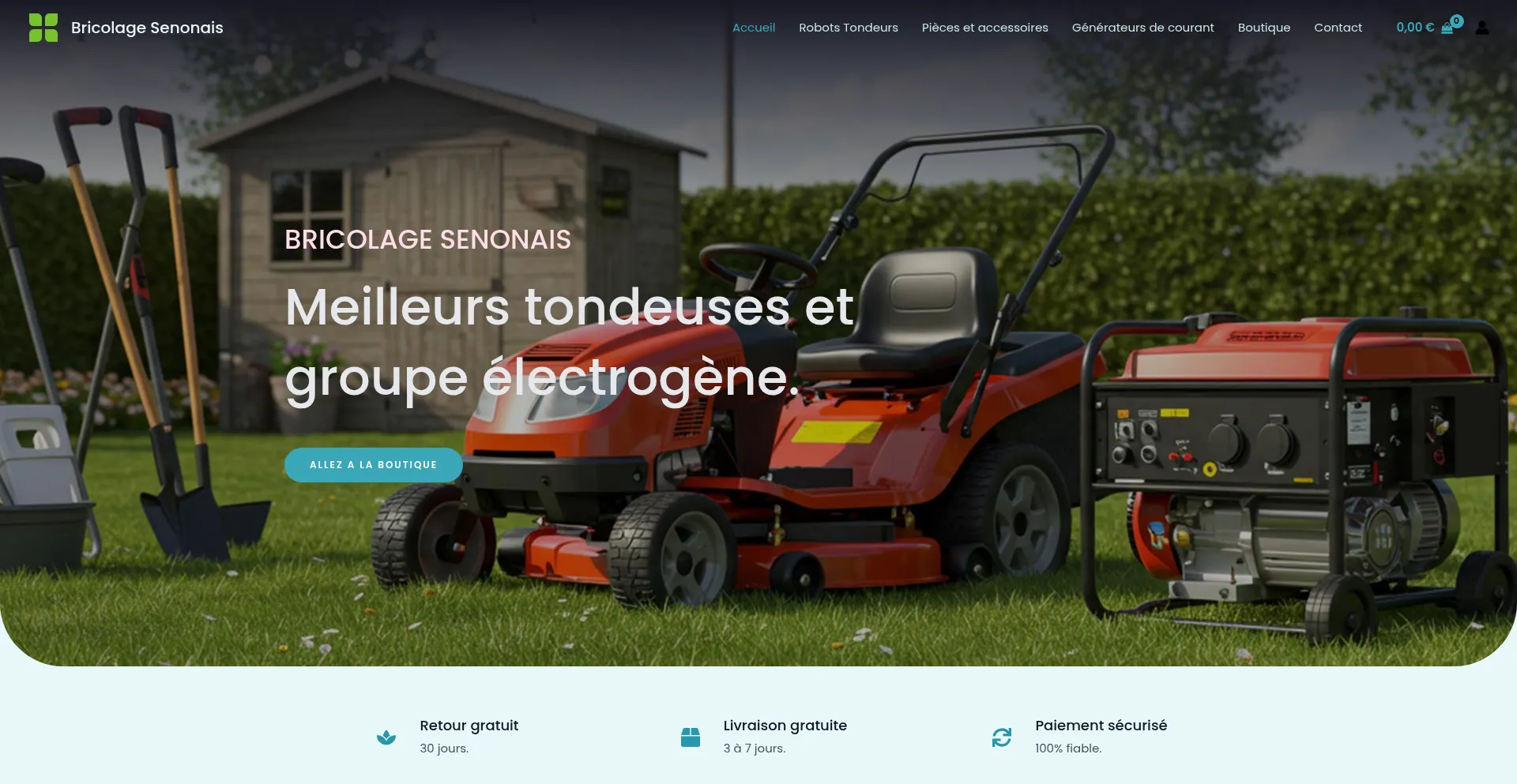 Website screenshot of Bricolagesenonais.com