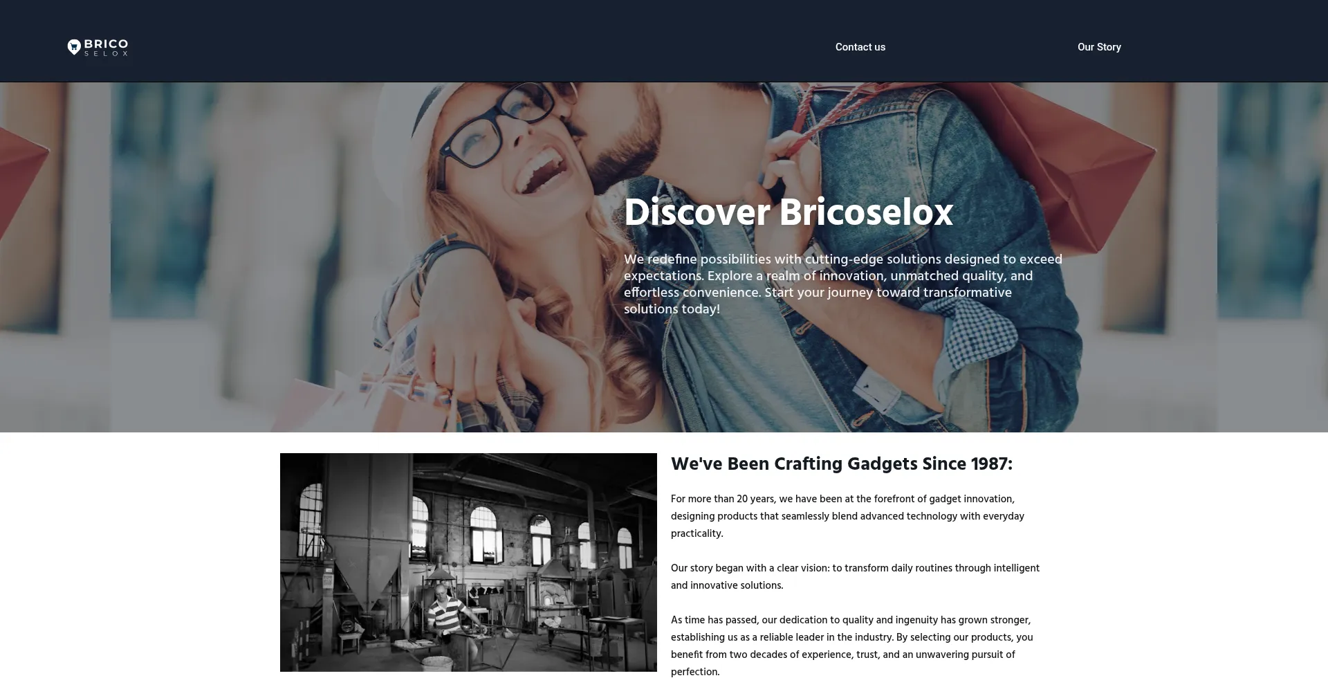 Website screenshot of Bricoselox.com
