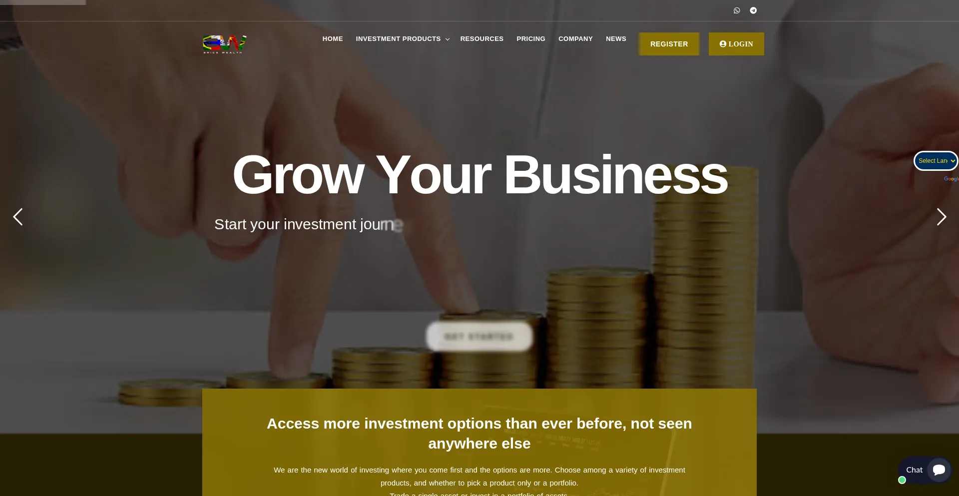 Website screenshot of Bricswealth.com