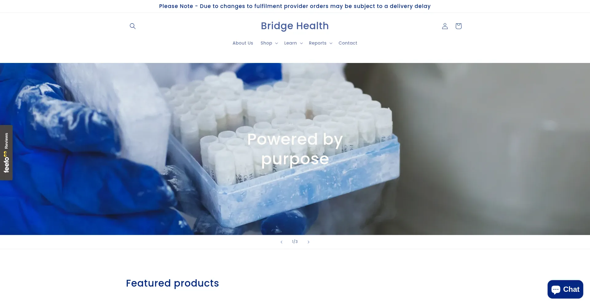 Bridge-health.co Screenshot