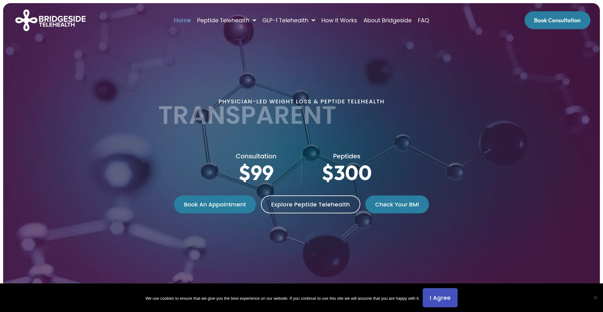 Bridgesidetelehealth.com