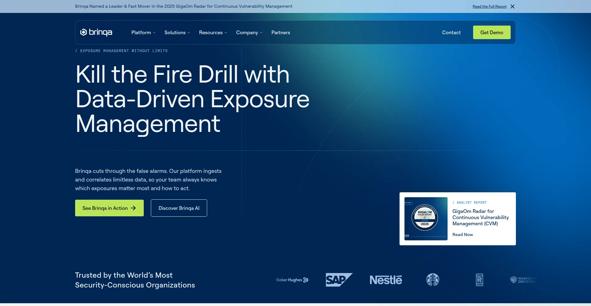Brinqa.com Screenshot