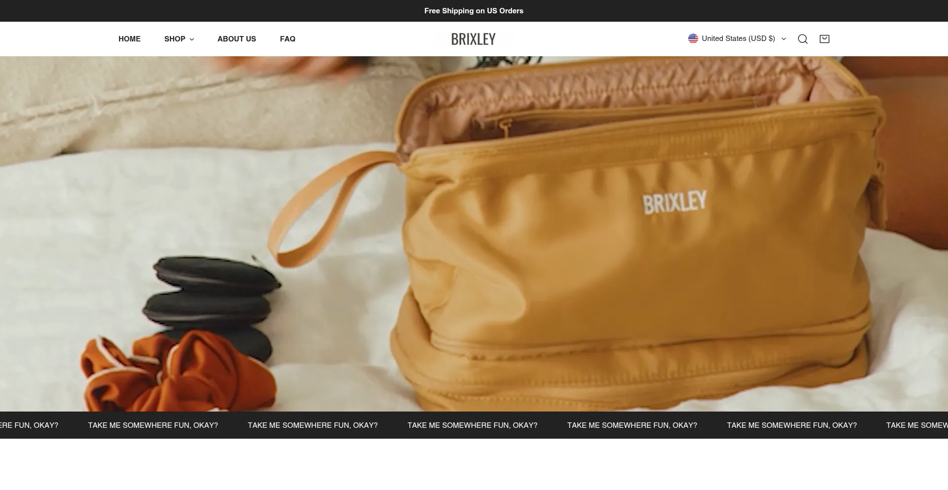 Website screenshot of Brixleybags.com