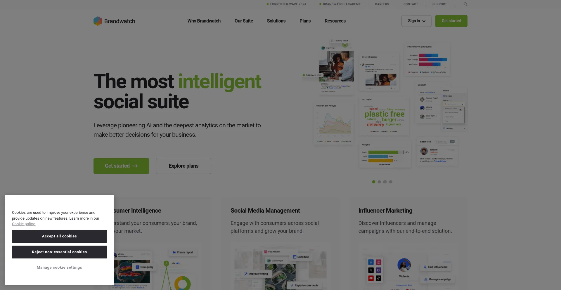 Website screenshot of Brnw.ch