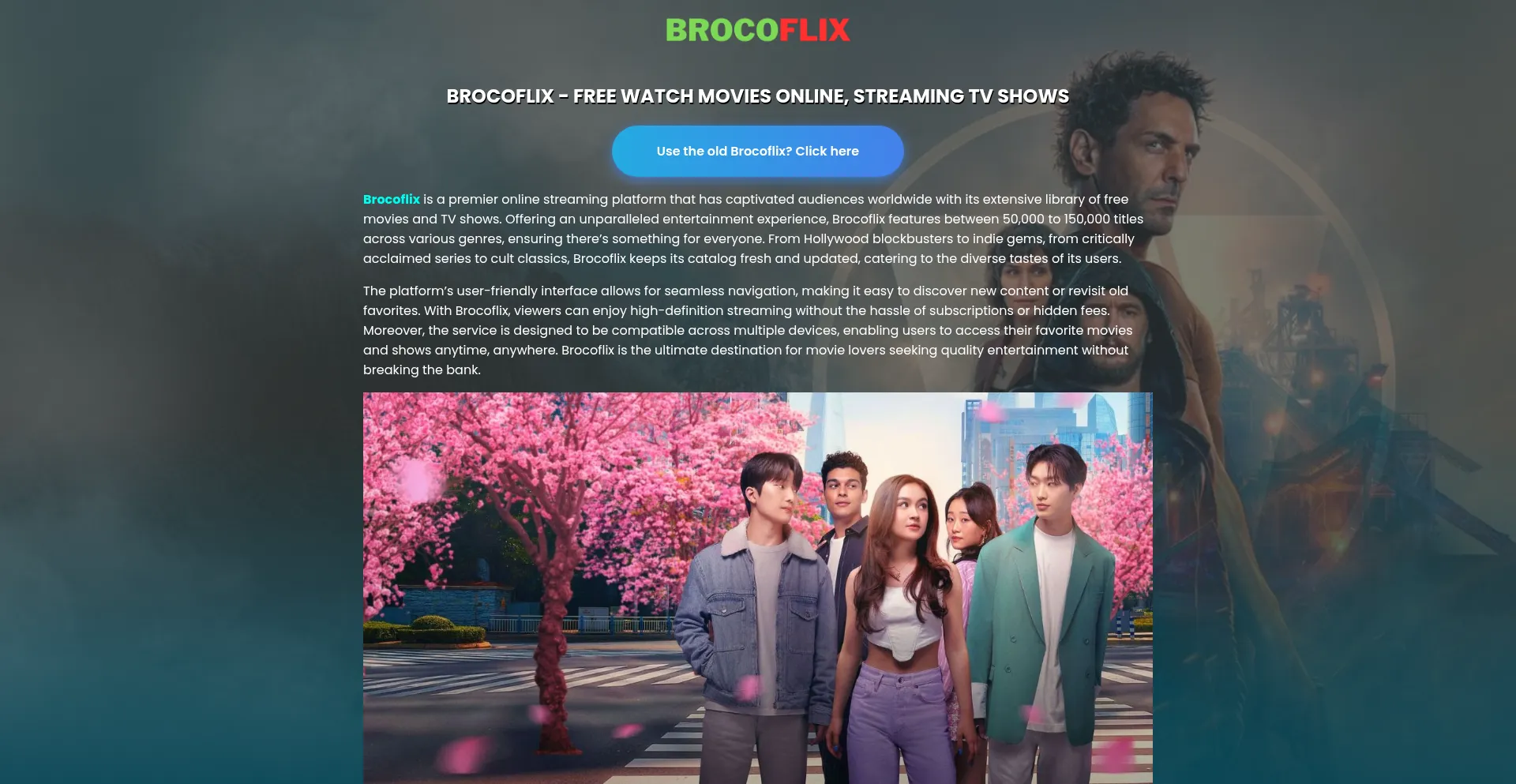 Website screenshot of Brocoflix.org