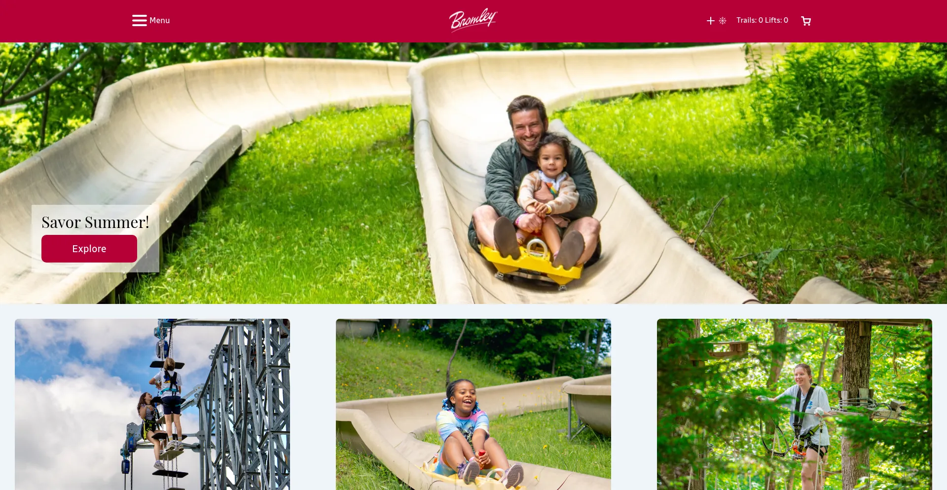 Website screenshot of Bromley.com