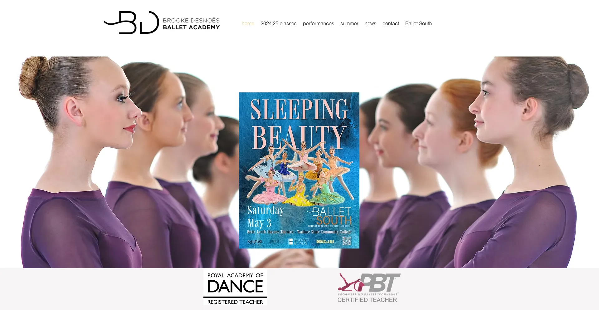 Website screenshot of Brookedesnoes.org