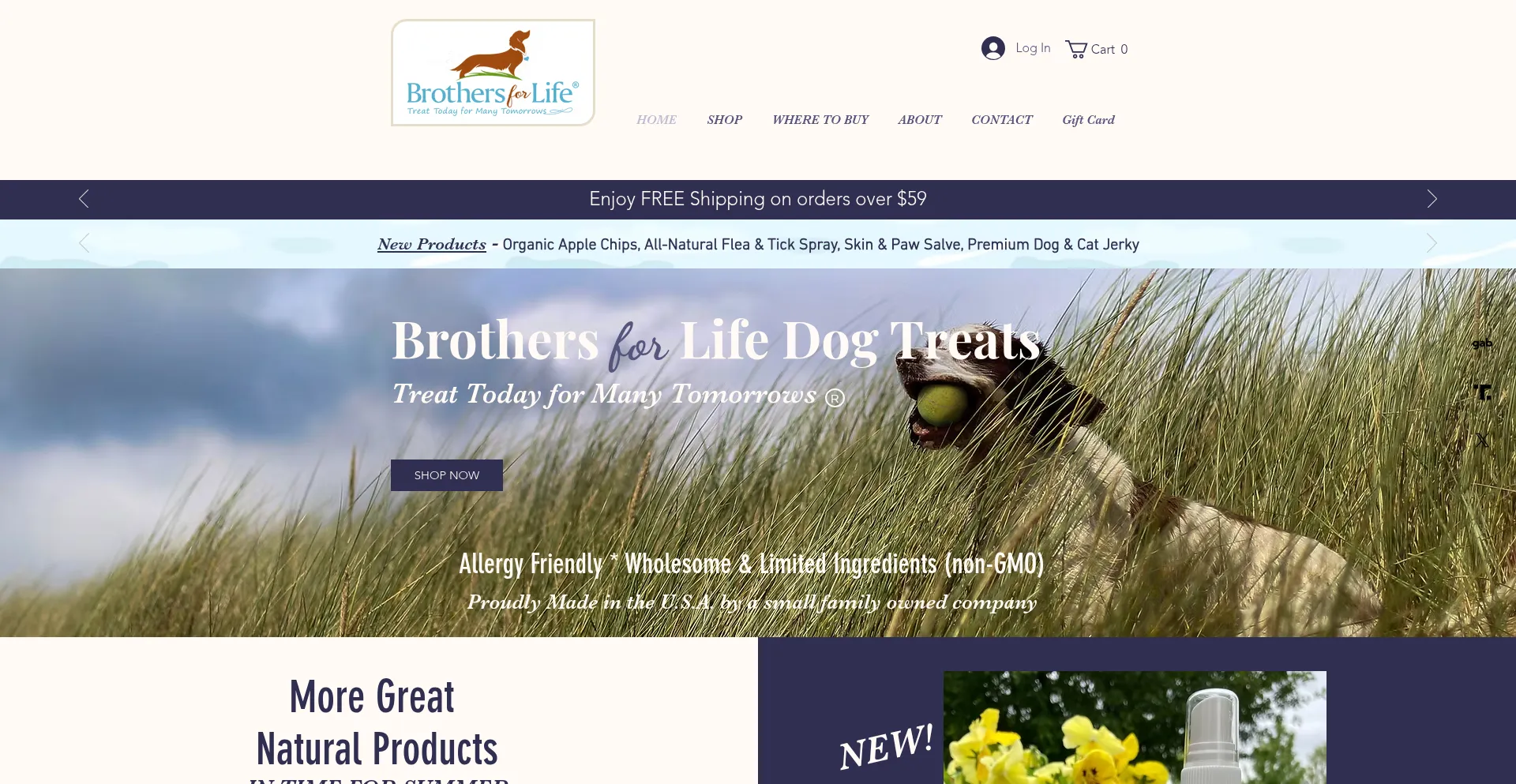 Website screenshot of Brothersforlifetreats.com