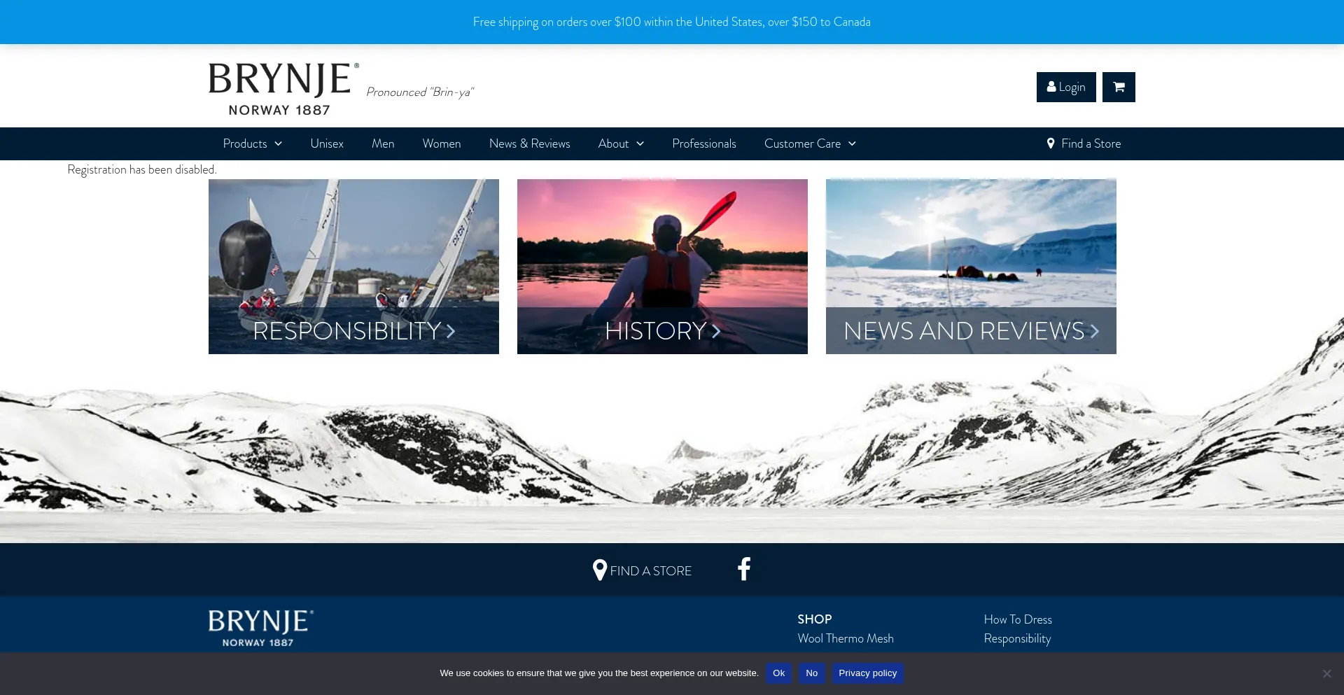 Website screenshot of Brynjeusa.com