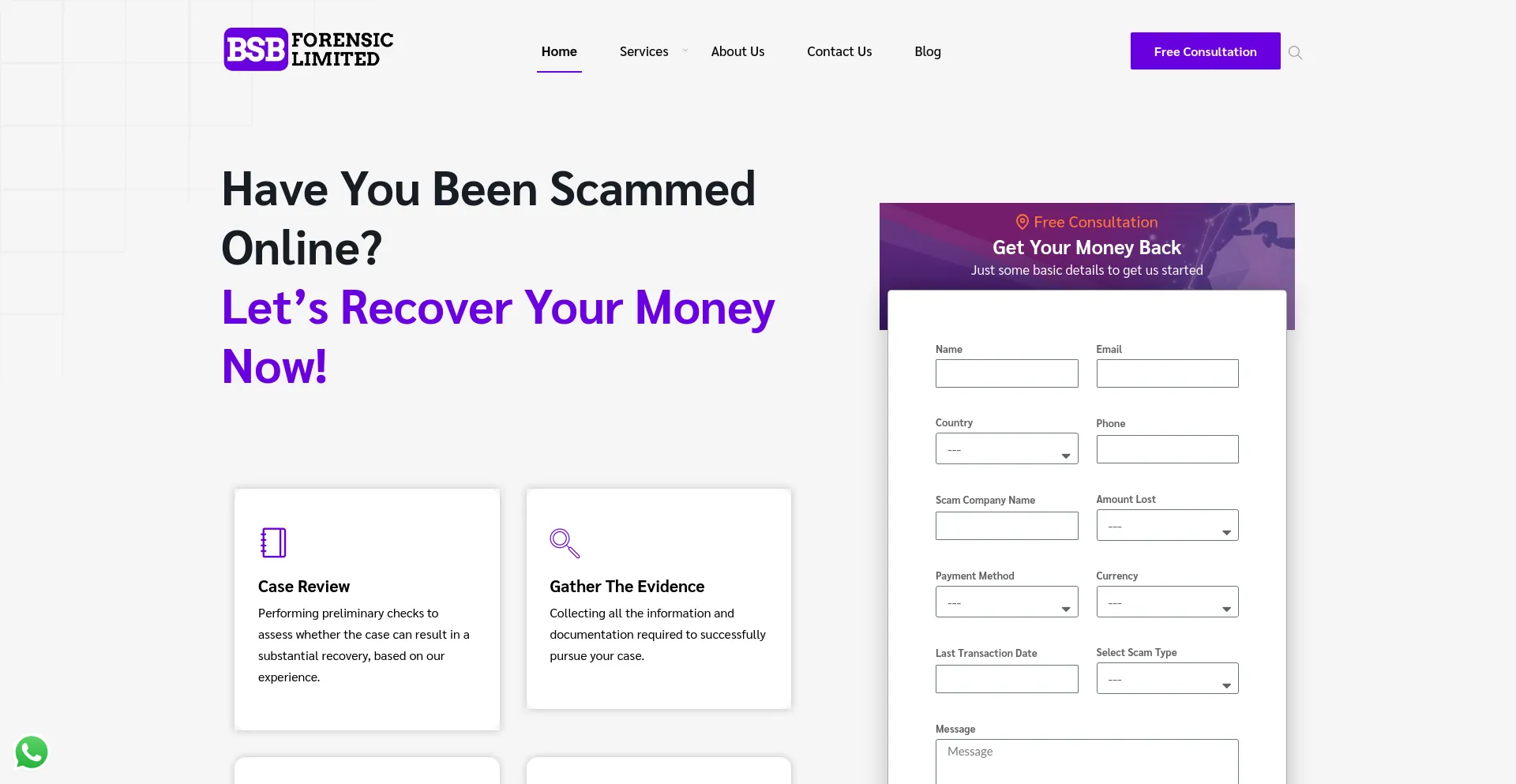 Website screenshot of Bsbforensic.com