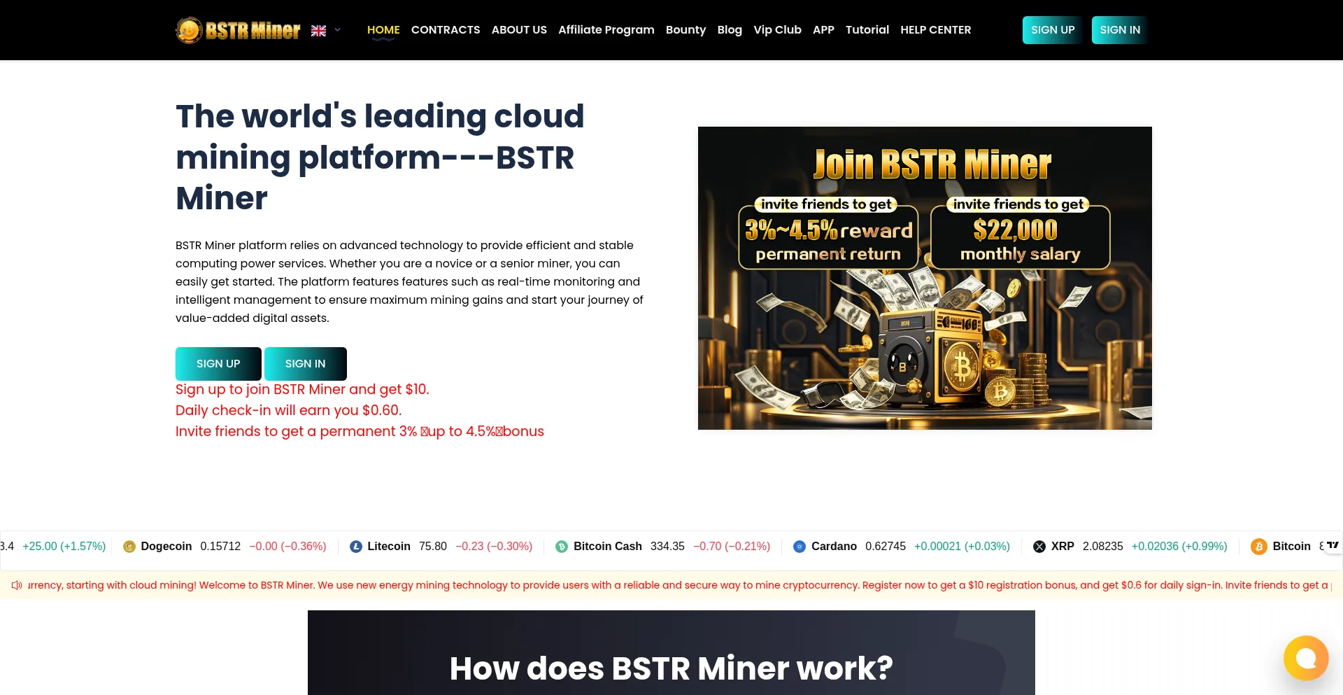 Website screenshot of Bstrminer.com