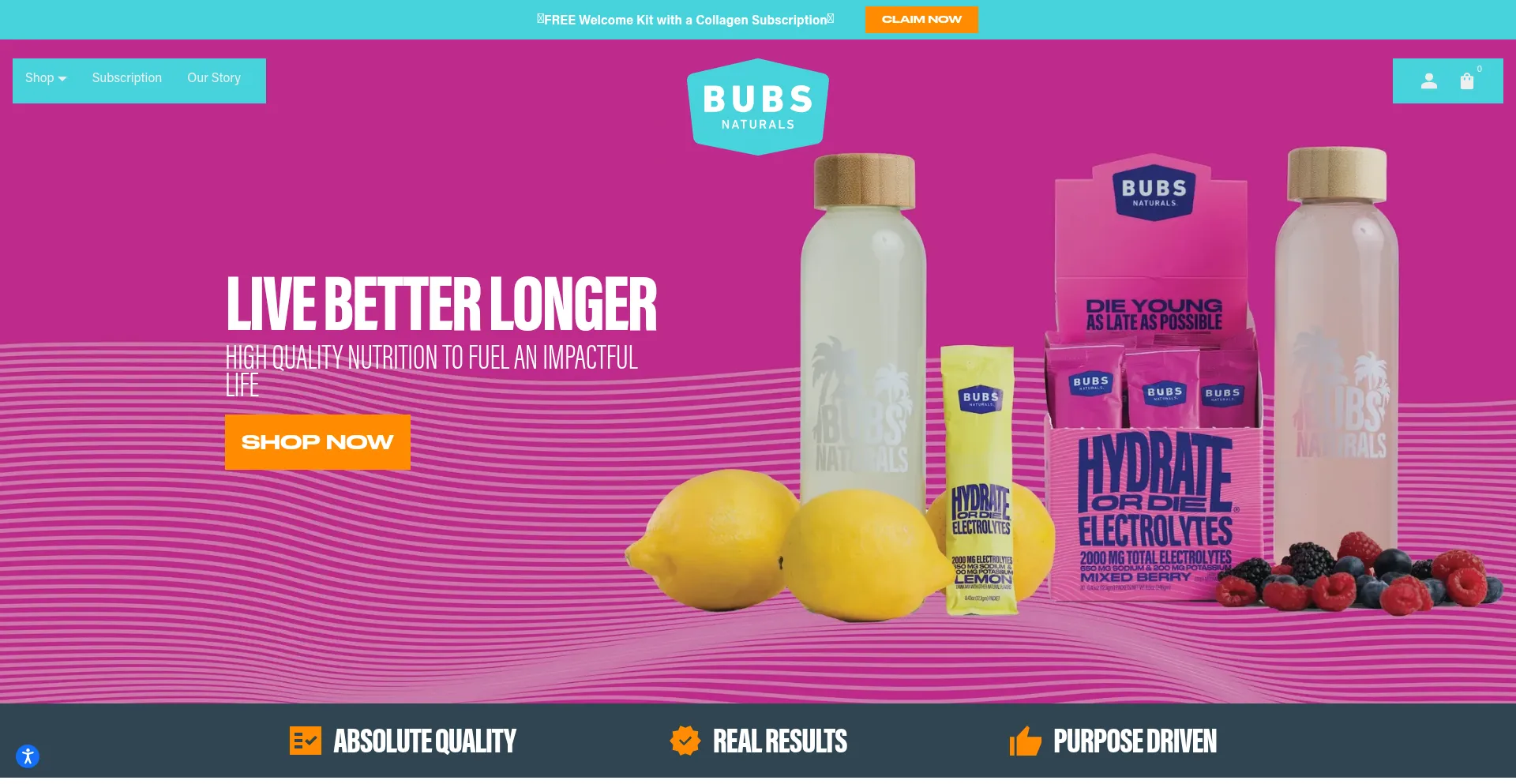 Website screenshot of Bubsnaturals.com