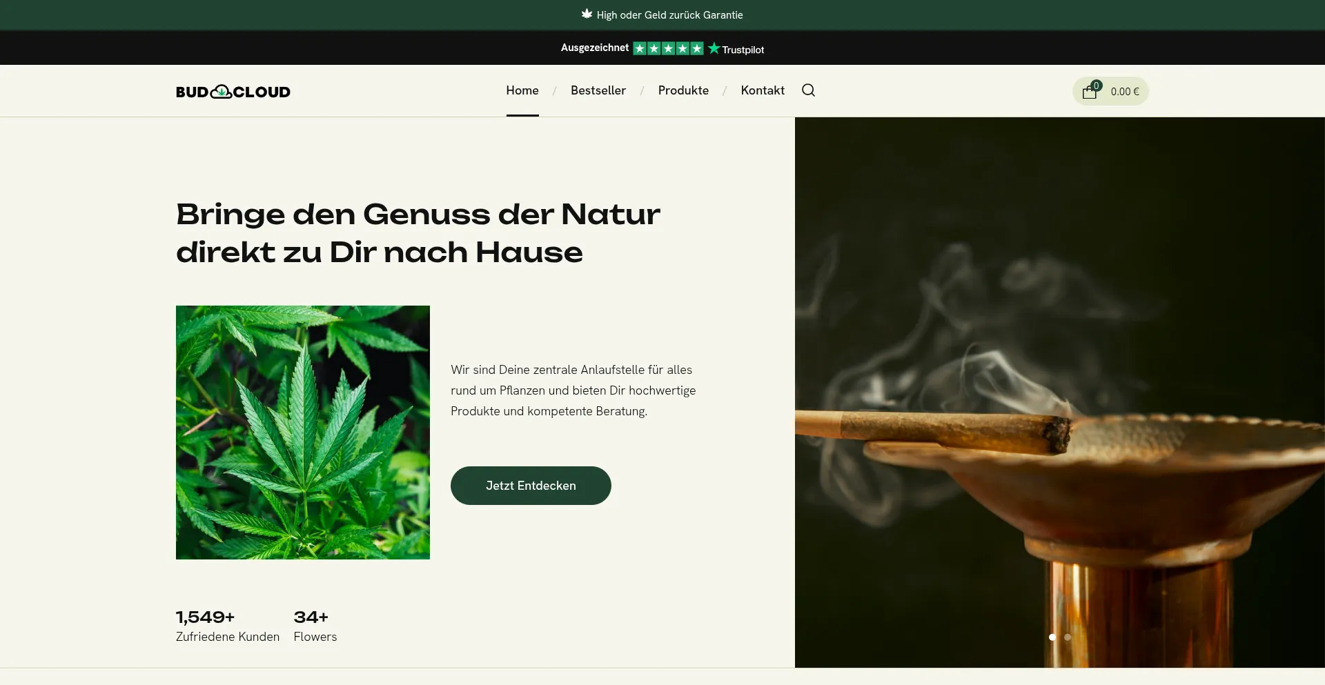 Website screenshot of Budcloud420.de