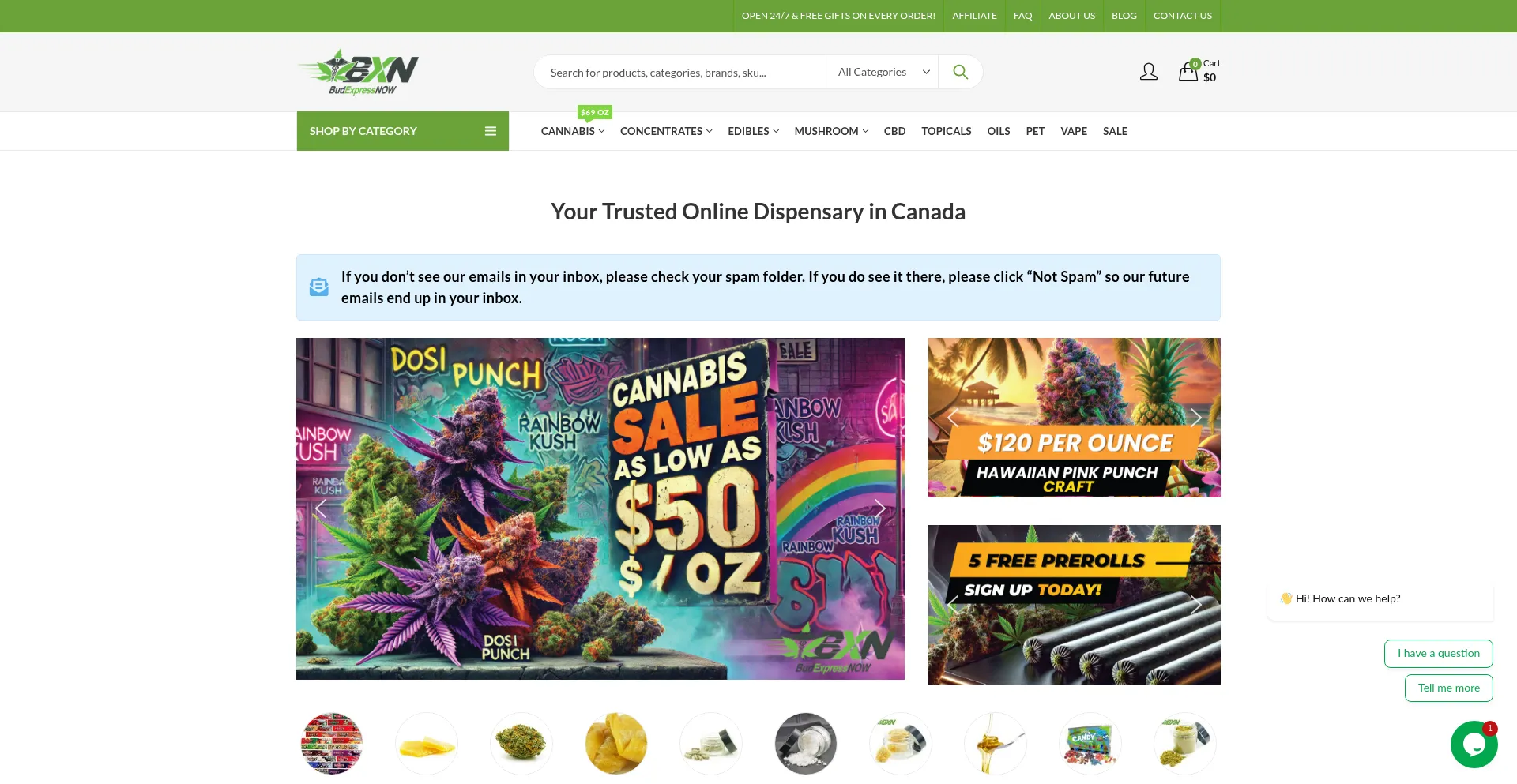 Website screenshot of Budexpressnow.co