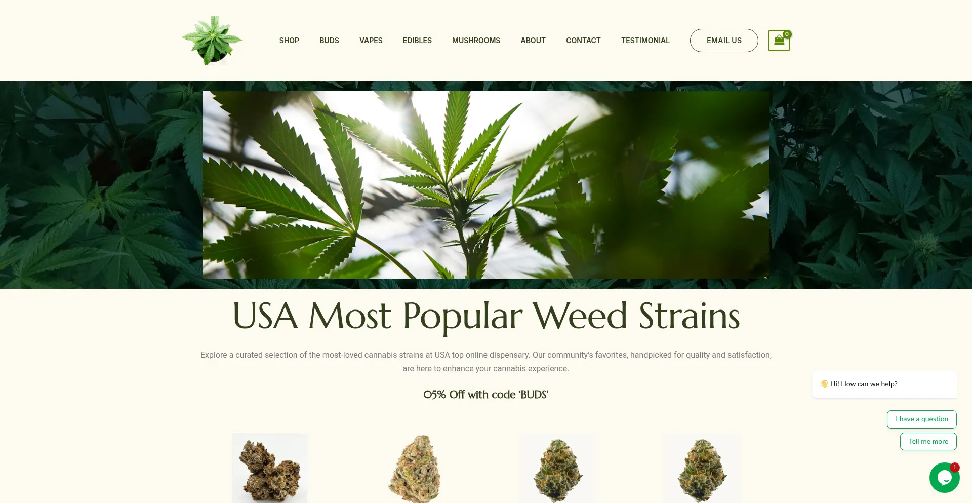 Is Budslane.com Safe?