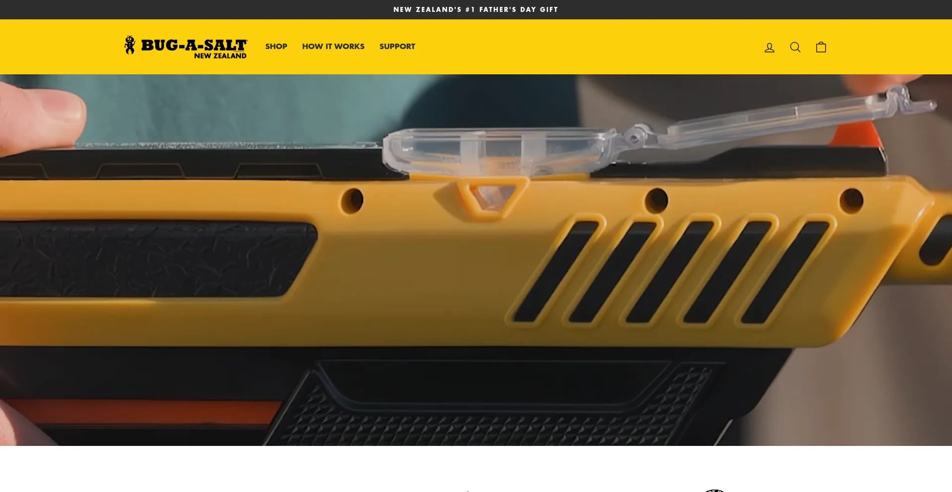Website screenshot of Bugasalt.co.nz