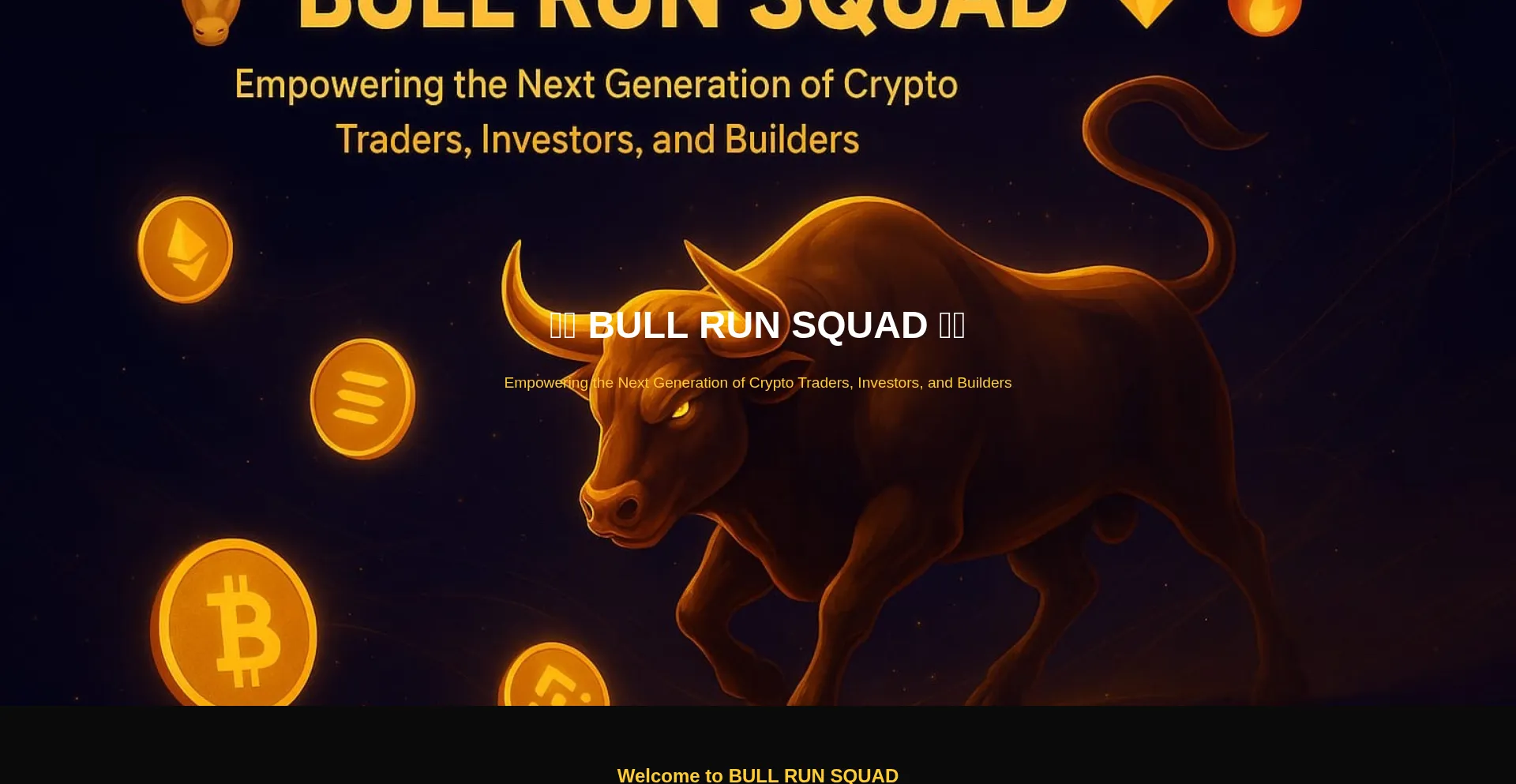 Bullrunsquadwebpage.netlify.app