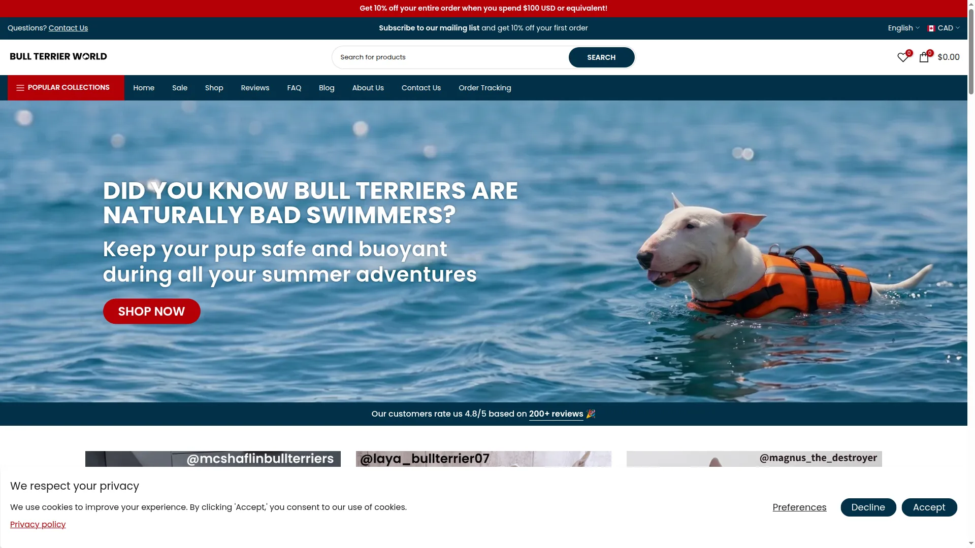 Bullterrier.world