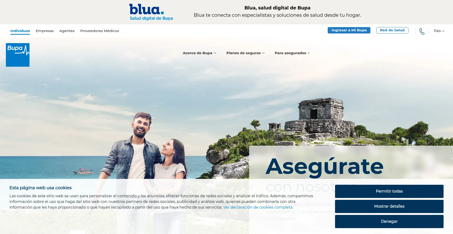 Website screenshot of Bupasalud.com.mx