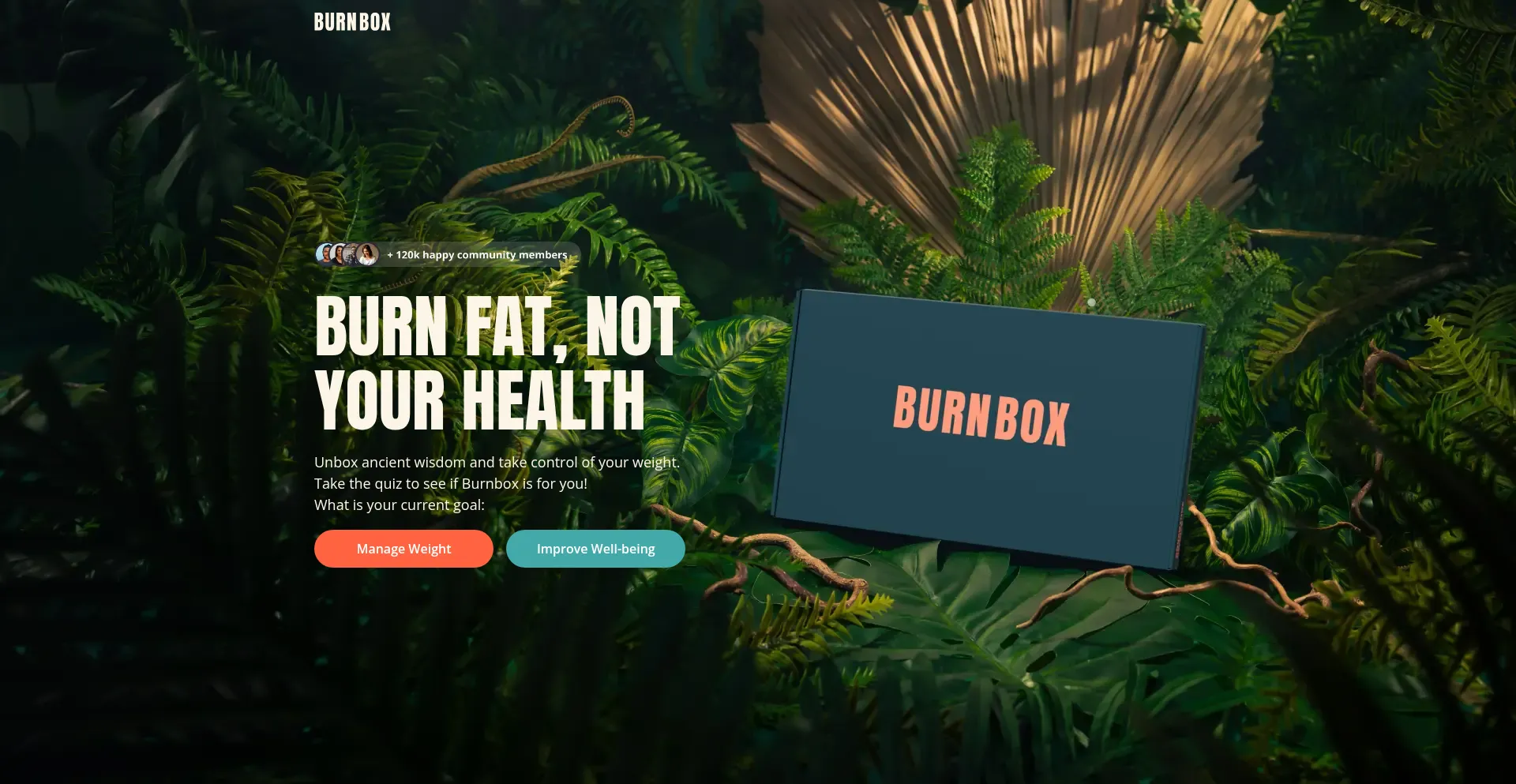 Burnbox.health Screenshot