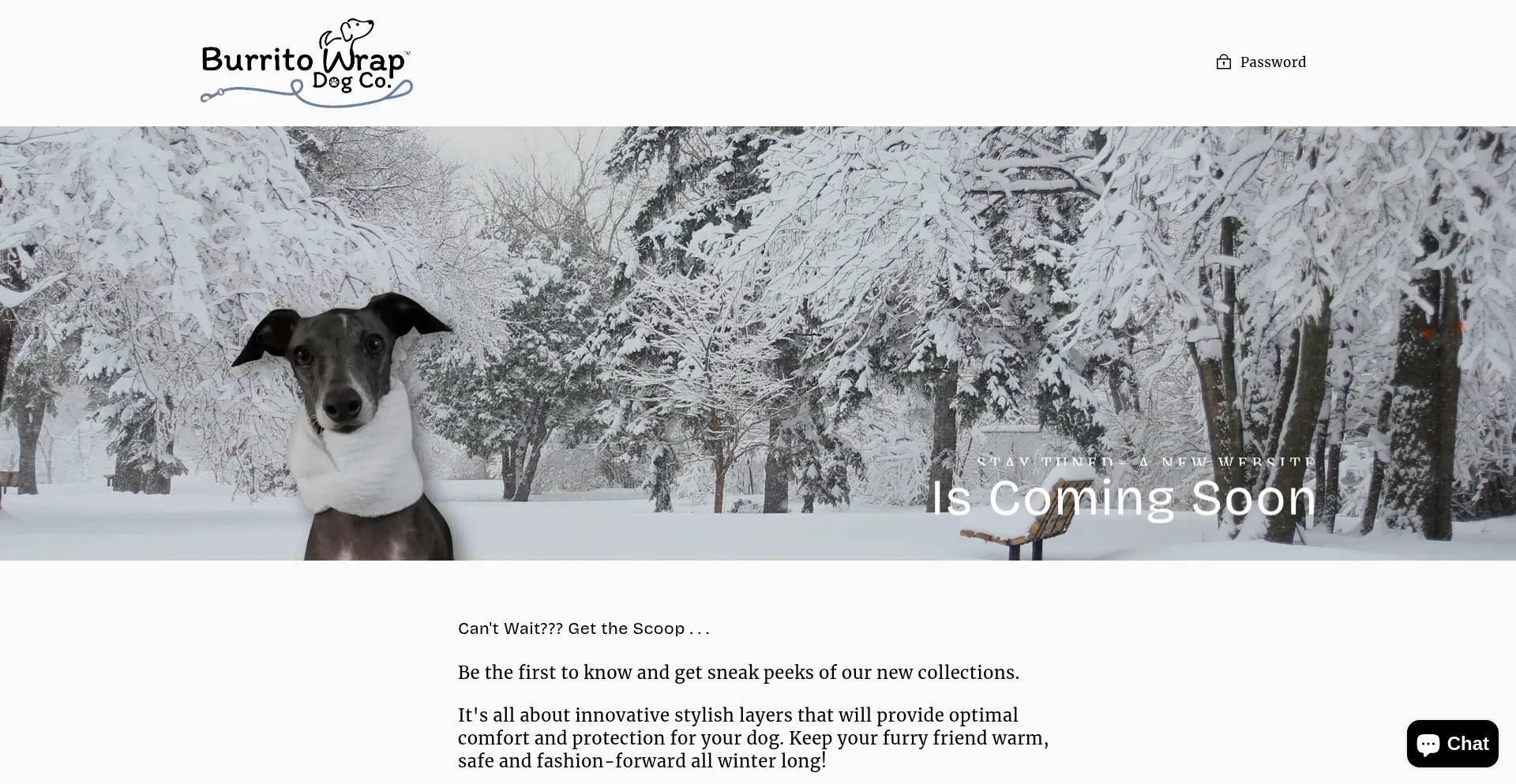 Website screenshot of Burritowrap.com