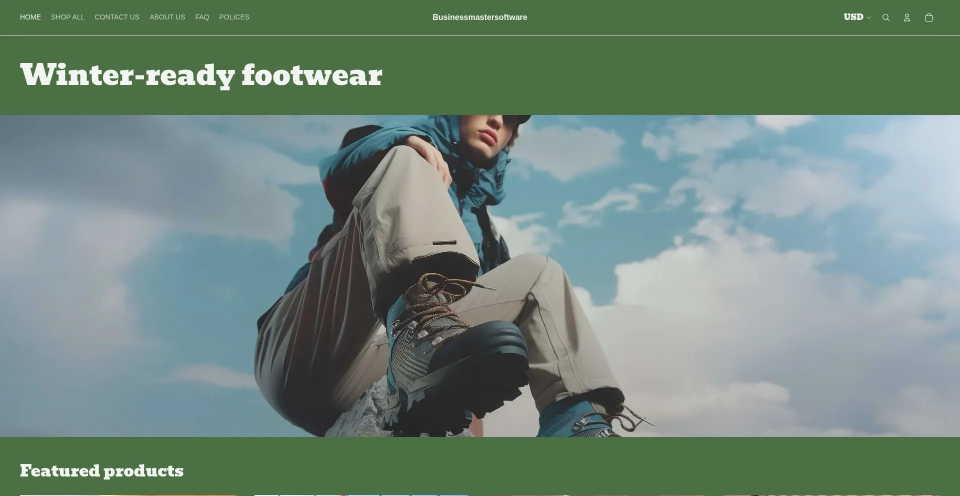 Businessmastersoftware.com