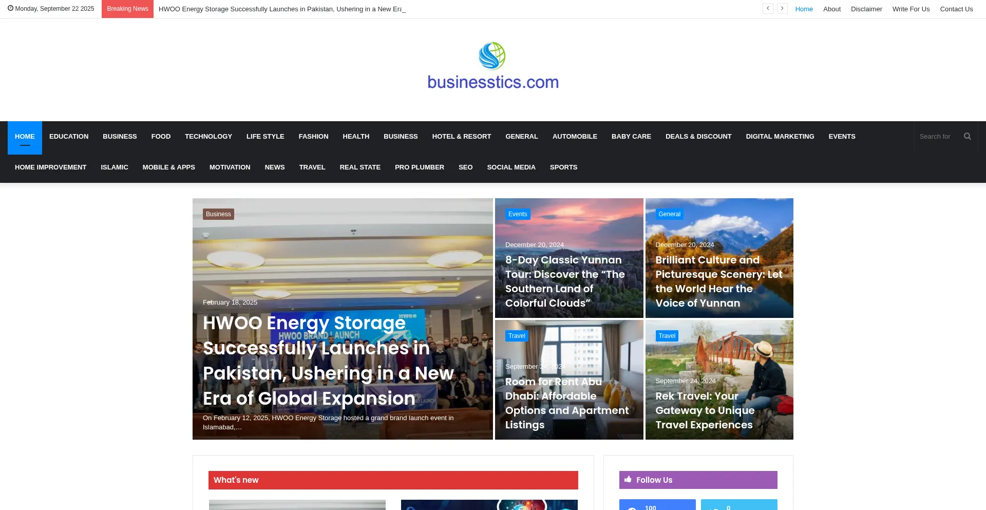 Businesstics.com Screenshot