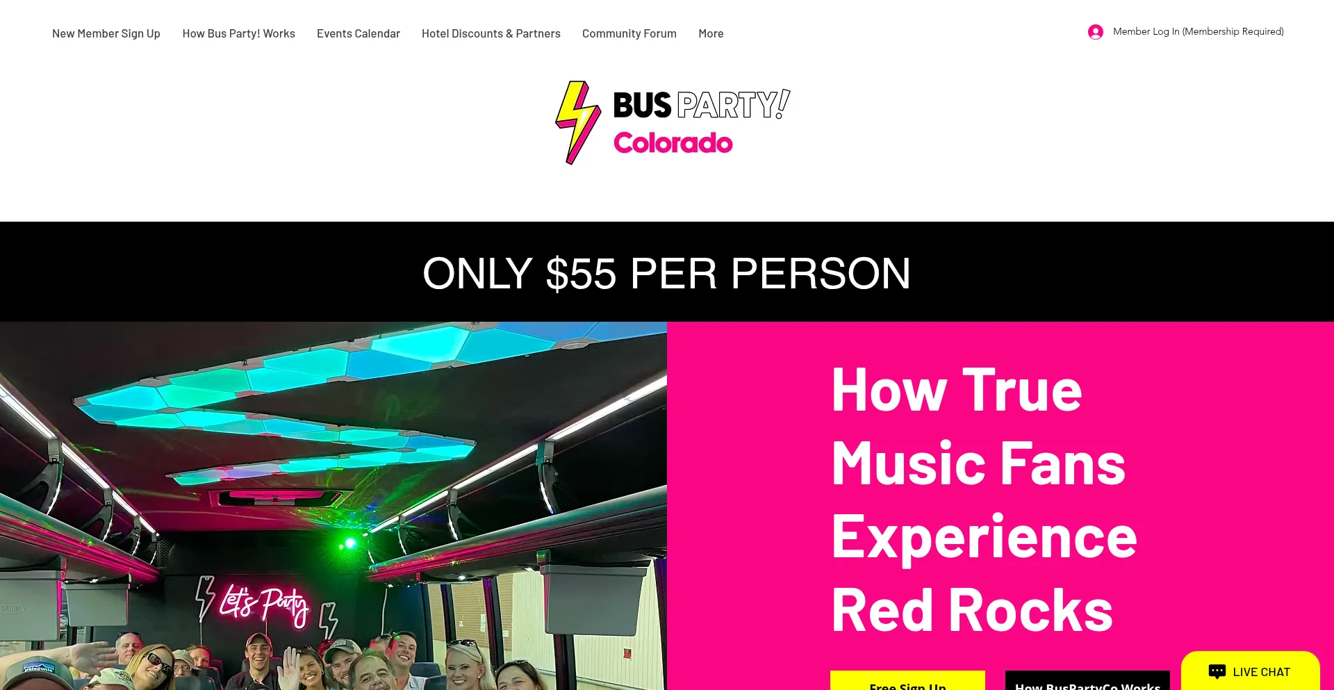 Website screenshot of Buspartyco.com