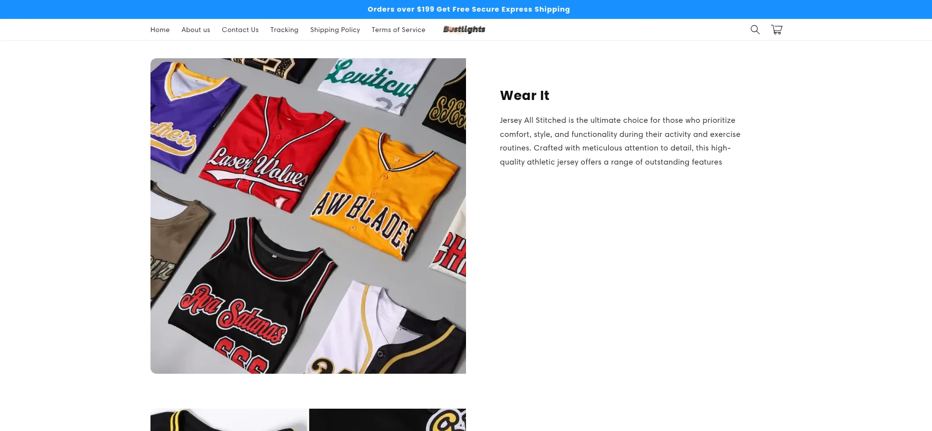 Website screenshot of Bustlights.com