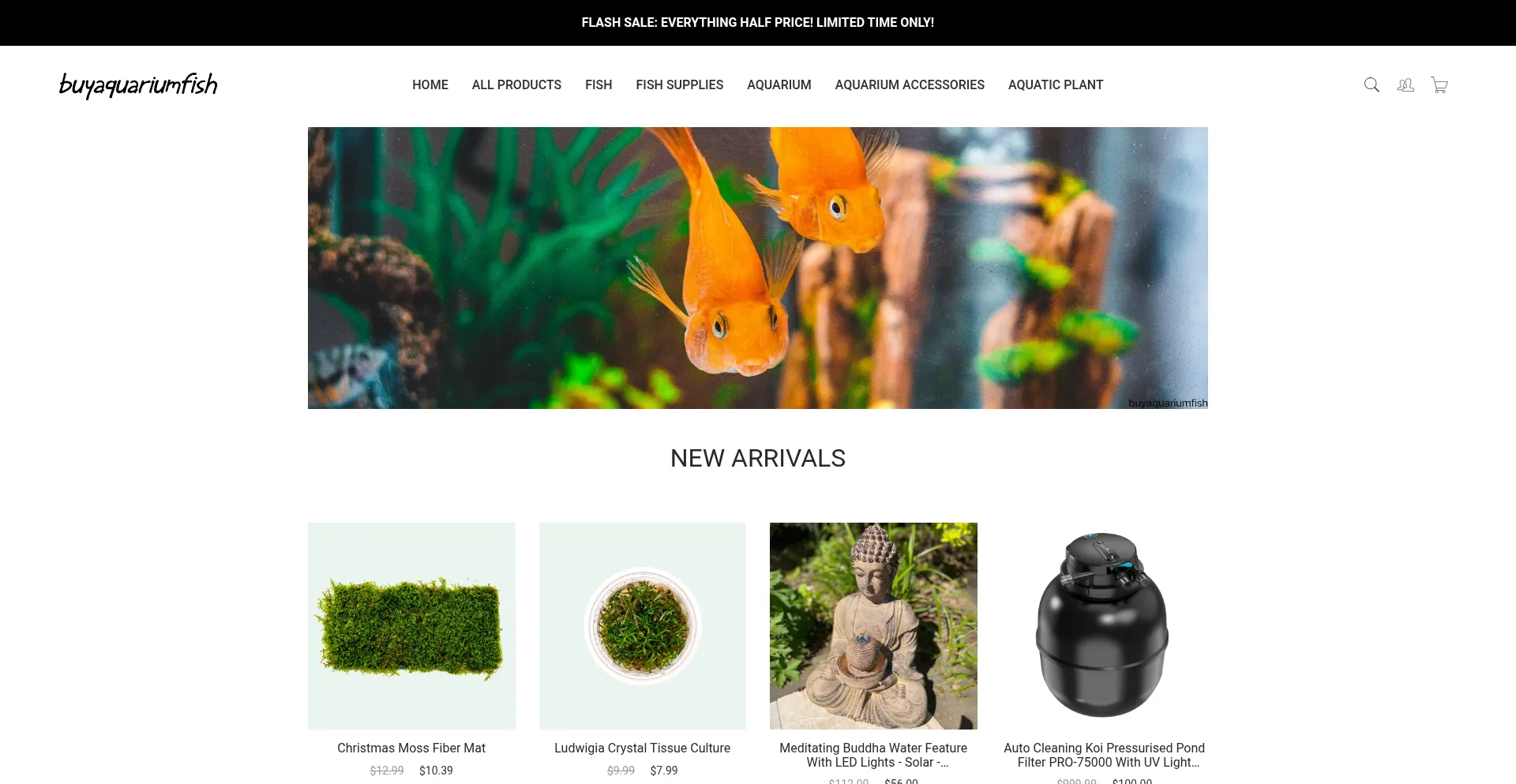 Website screenshot of Buyaquariumfish.com